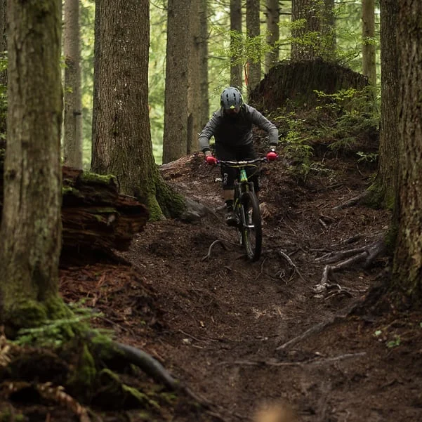 Maybe I'm crazy but sometimes I prefer riding in the rain. Anyone else feel the same? 🚴&zwj;♂️ @gooey2good
#mtbiking #pnwmtb #notg #slipandslide #raincantstopus #gohuckyourself #tigermountain #gofasttakechances #pnwphotographer