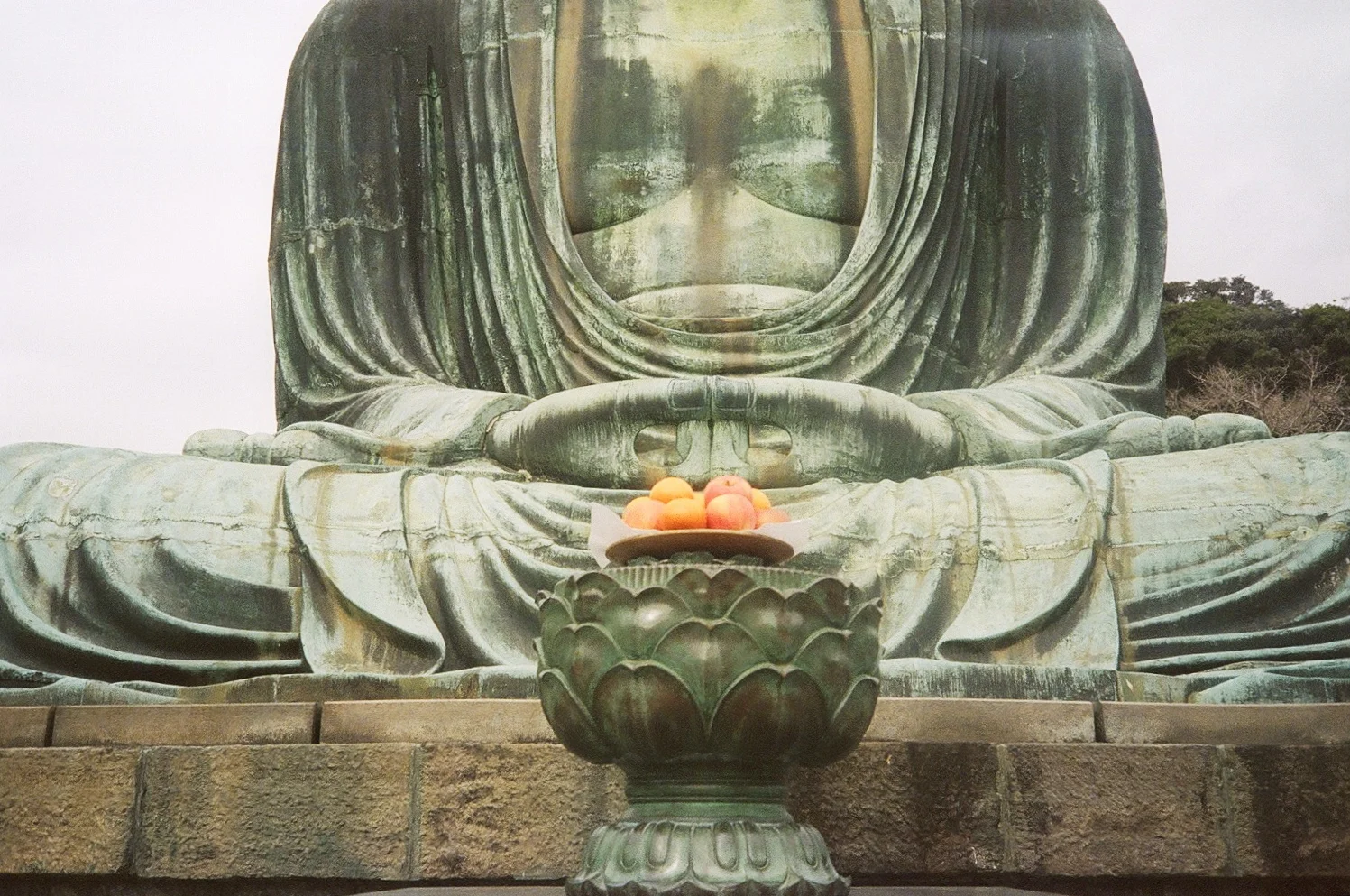 Urban Retreat: Cultivating Patience