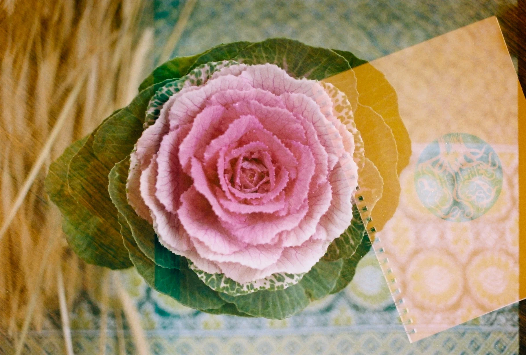 Urban Retreat: Spirit of Self Love