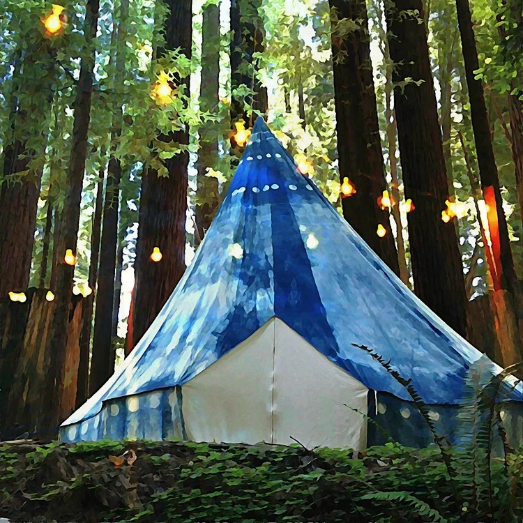 Wild Tea & Pop-Up Tent Party 