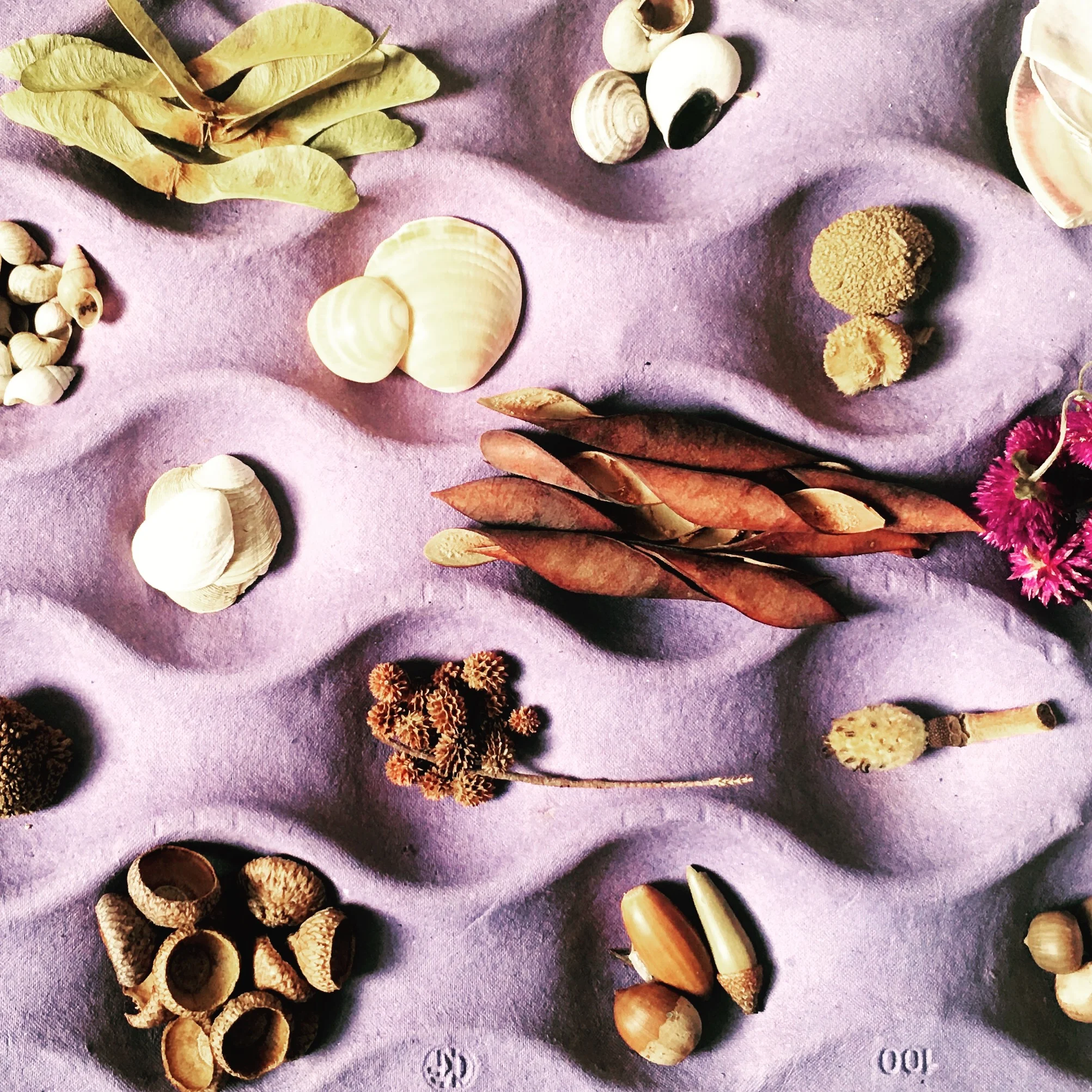 WisdomShare | featuring Rooted Dreams