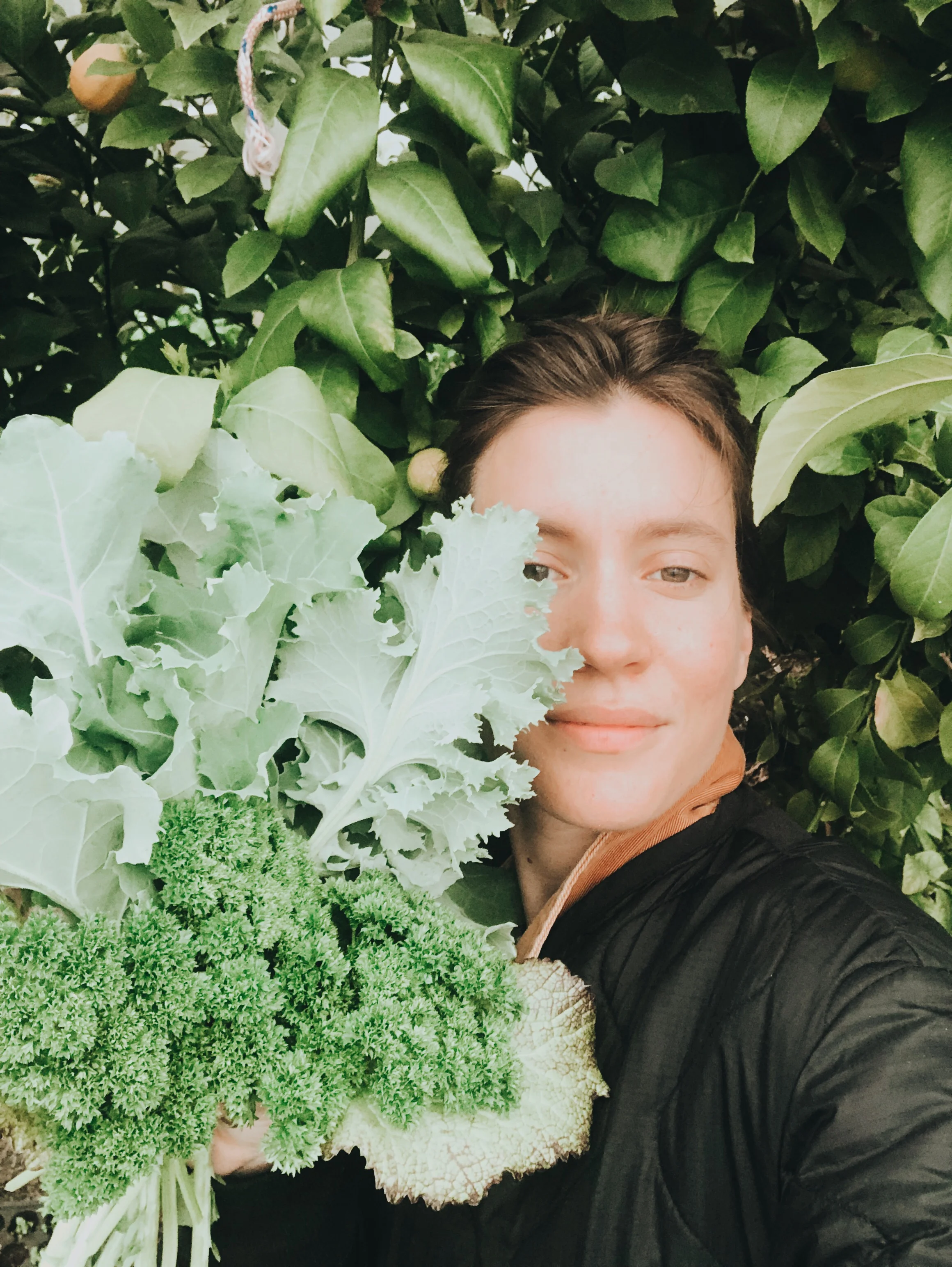 Herbal Allies: An Introduction to Self Care with Plants