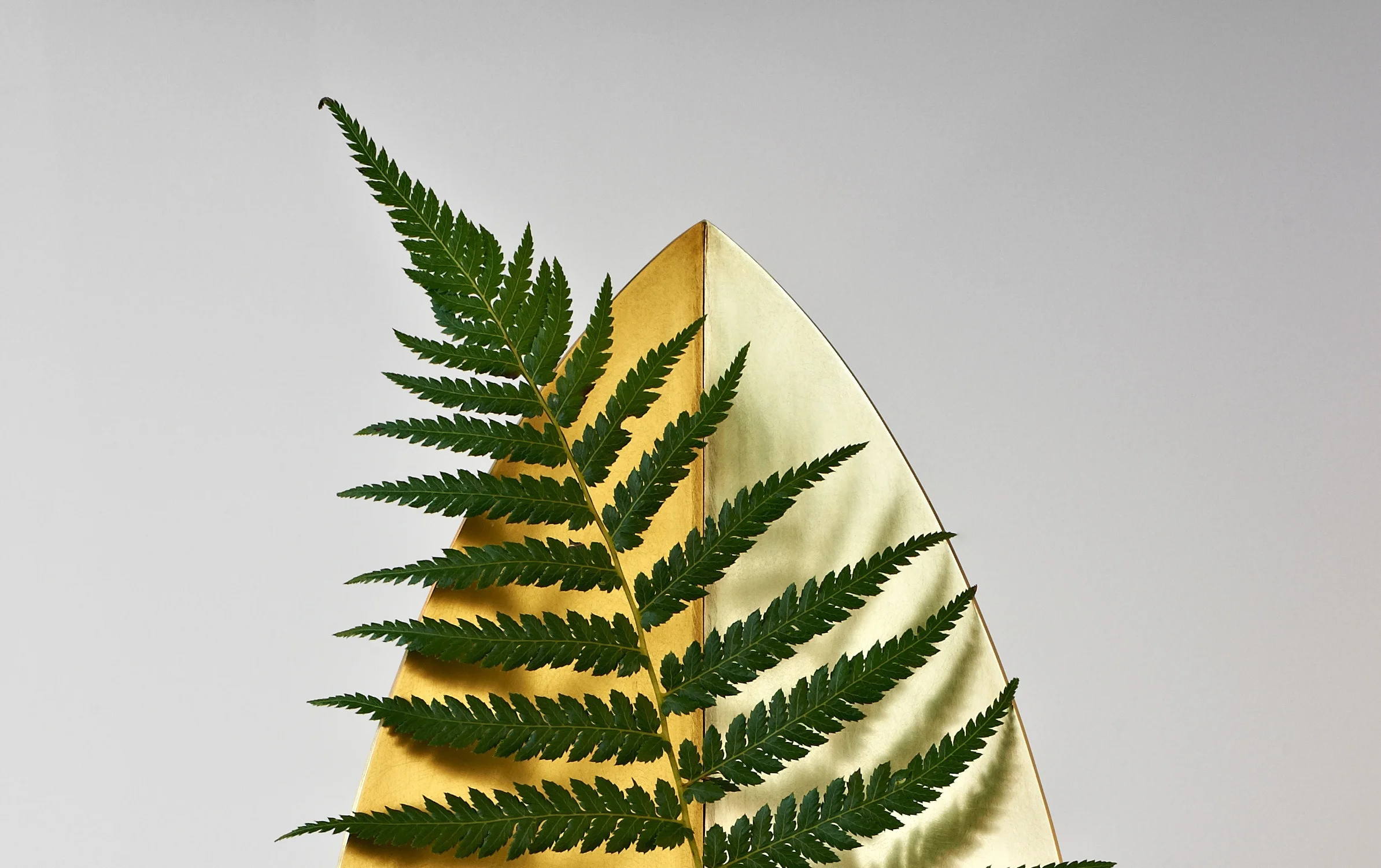 170923_GGillant_FALL_VASE_credit_Marek_Mulenko_HD4.jpg