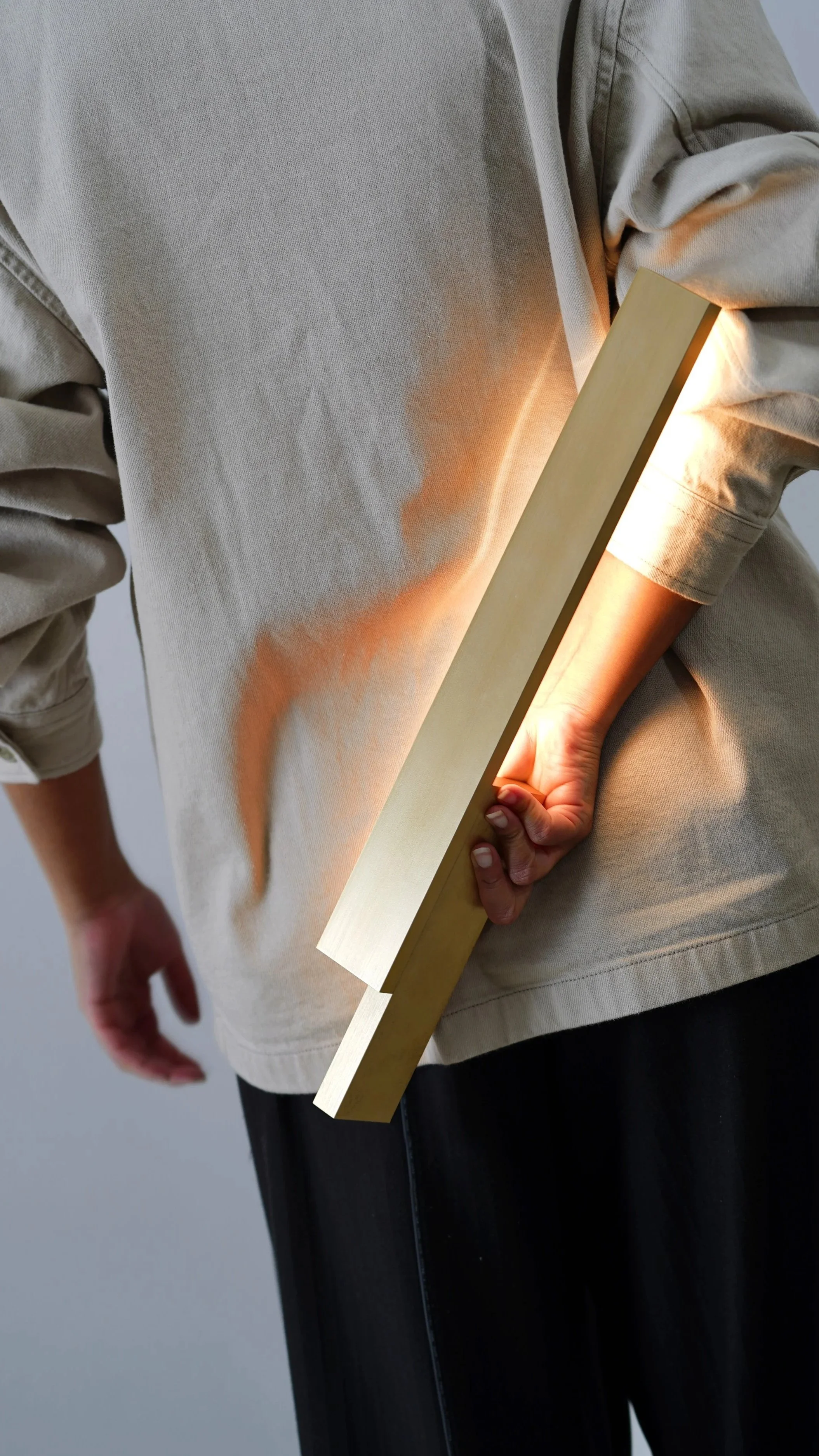 Bloc Wall Sconce — Brushed Brass (Copy)