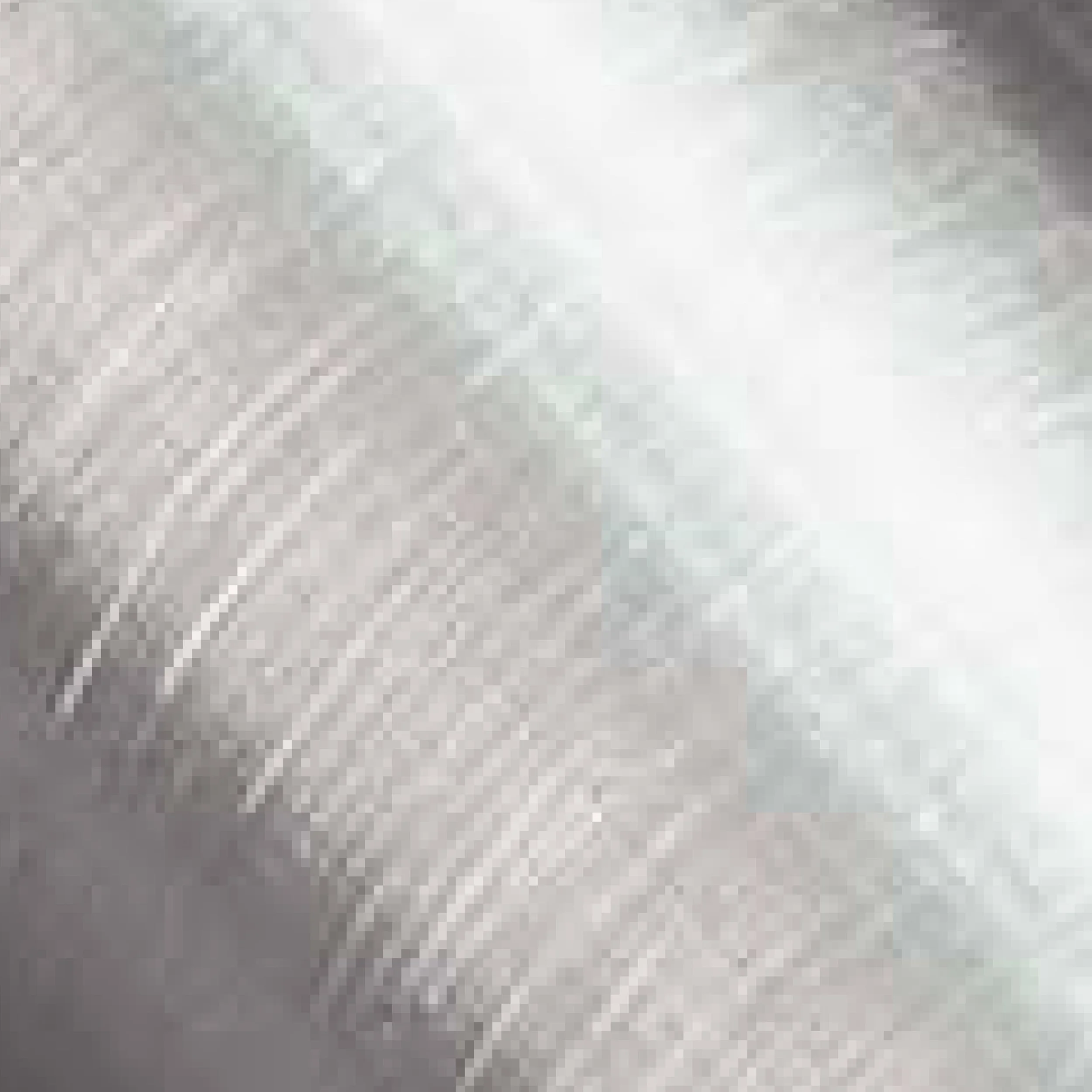 Brushed Aluminium