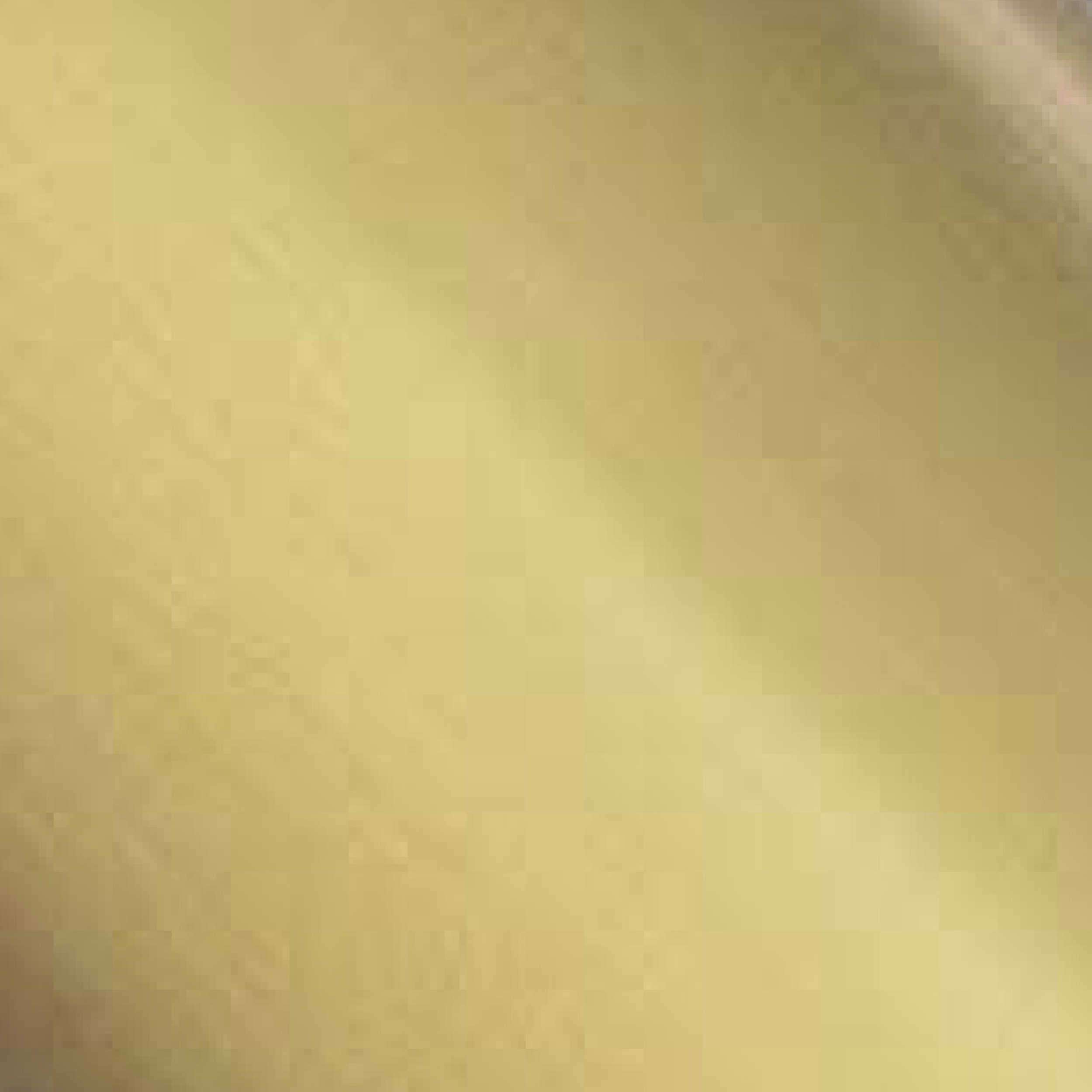 Brushed Brass