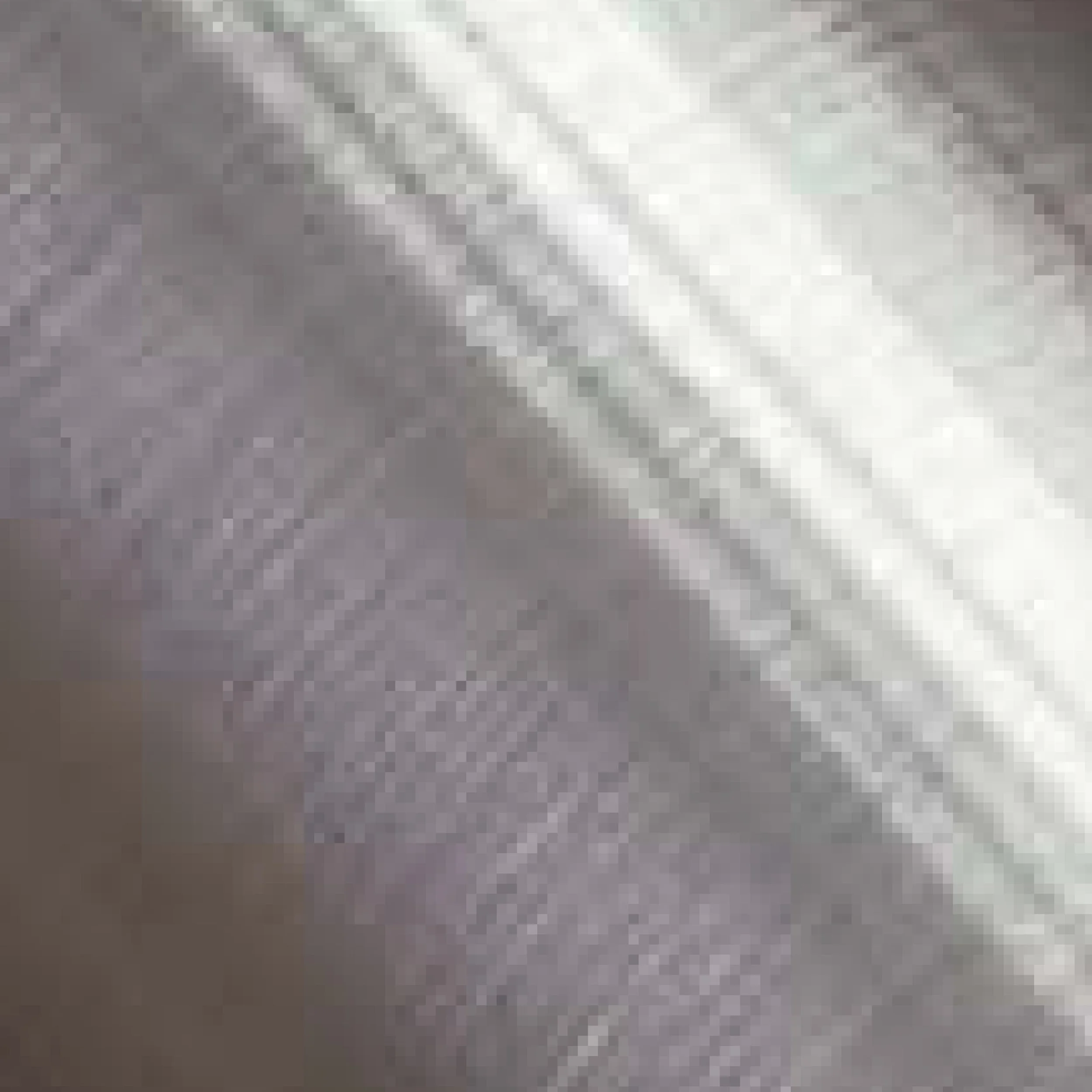Brushed Stainless Steel