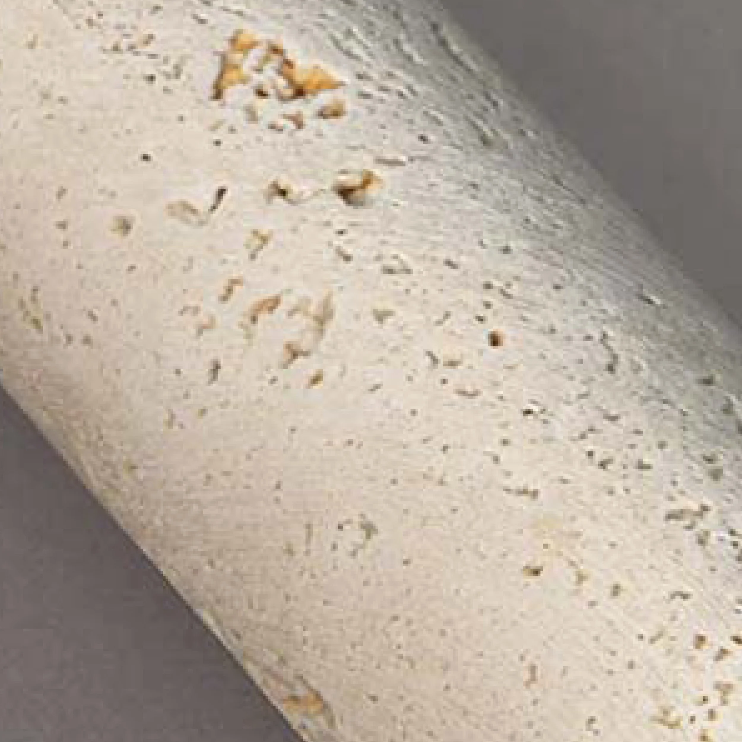 Unfilled Travertine