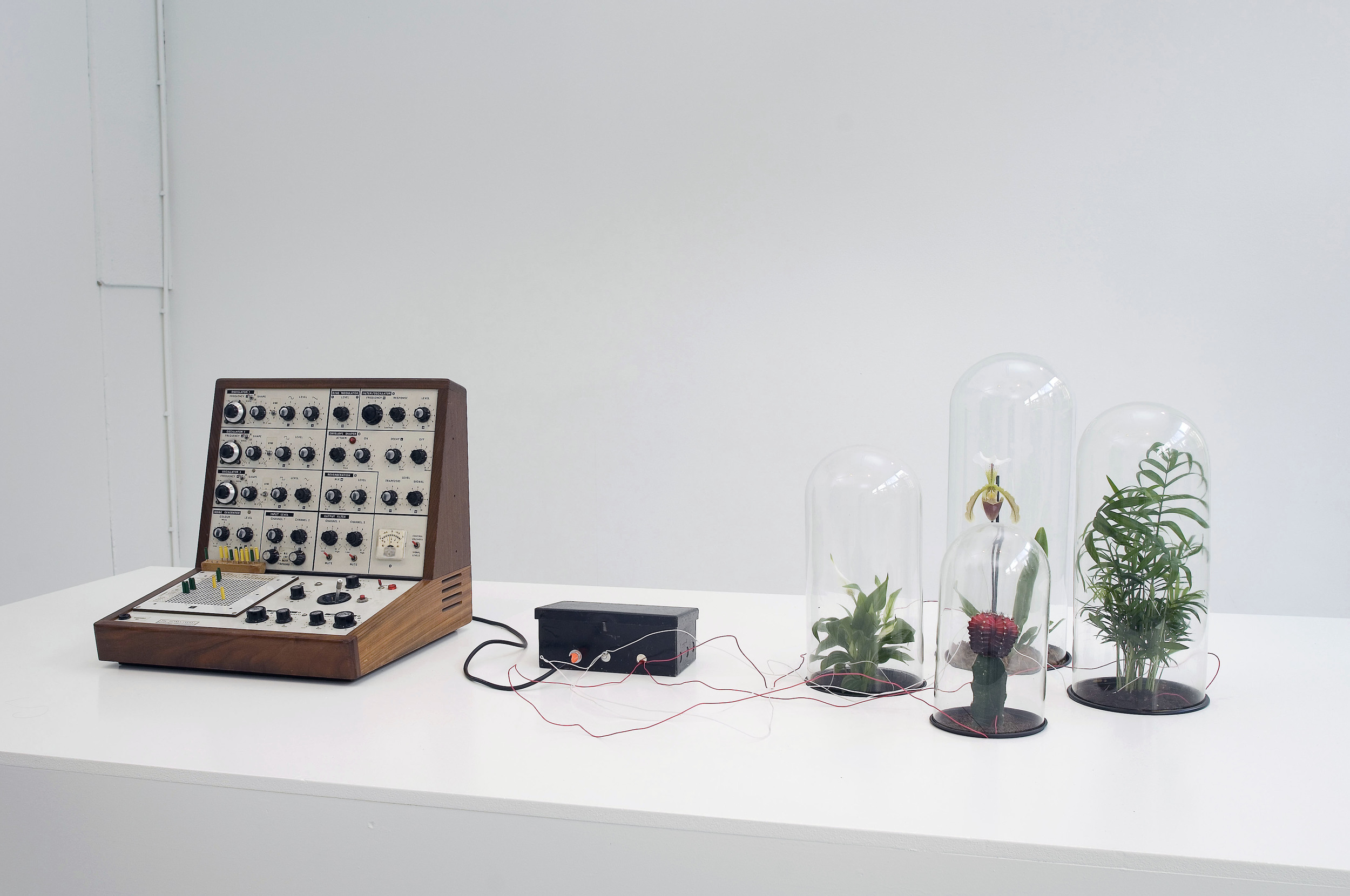 The Damagomi Project at Nest, The Hague