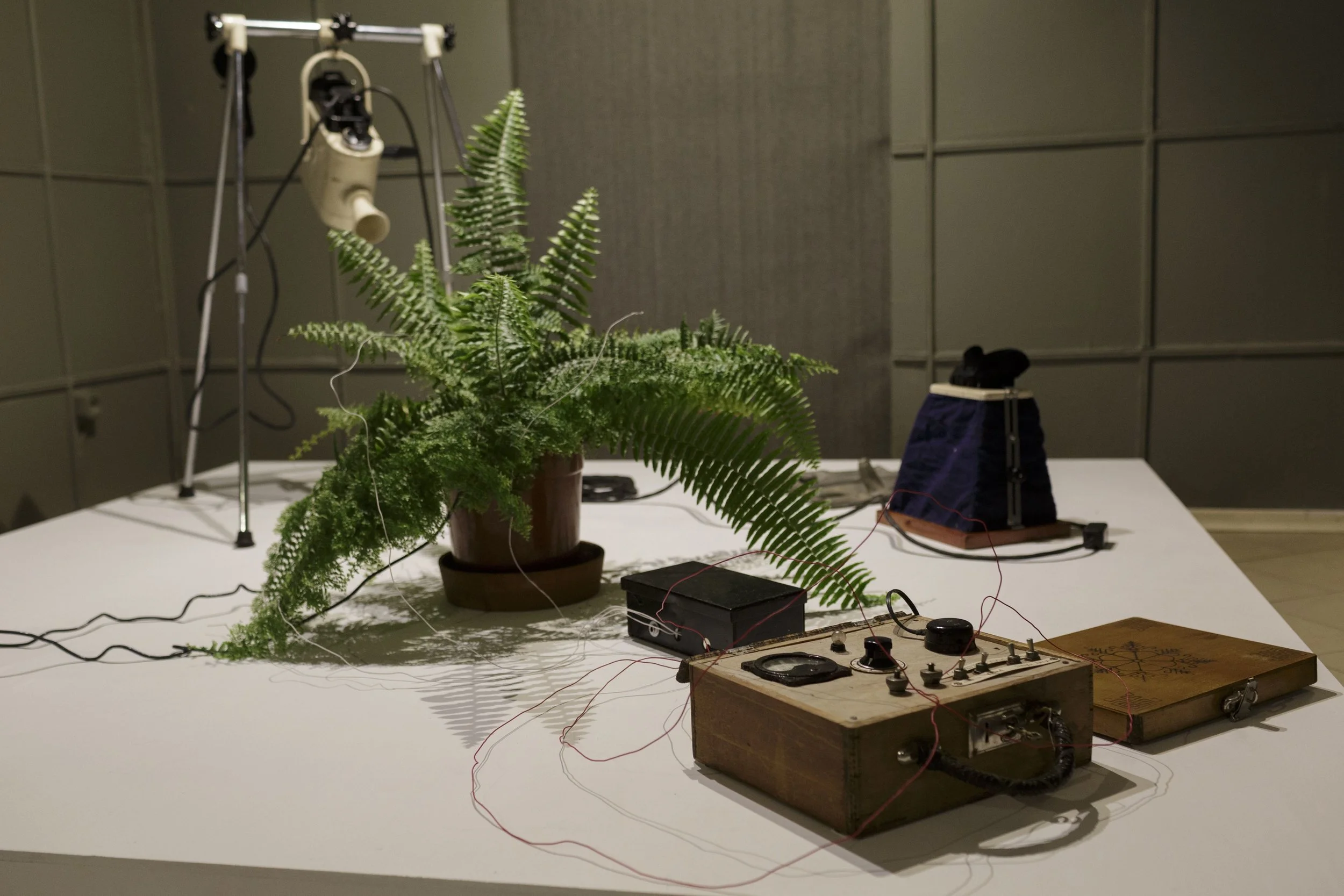 The Damagomi Project at SurvivalKit 8 Riga