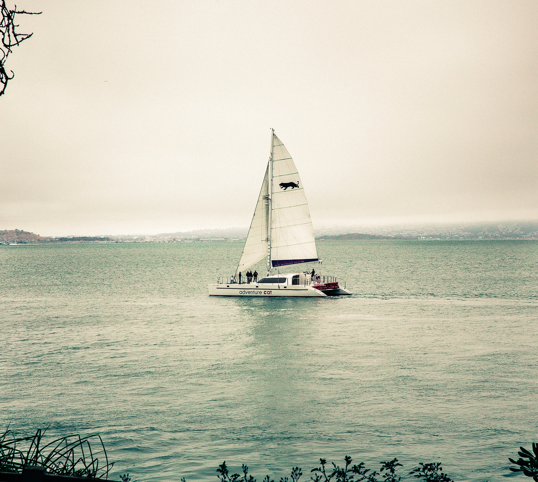 sailweb.jpg