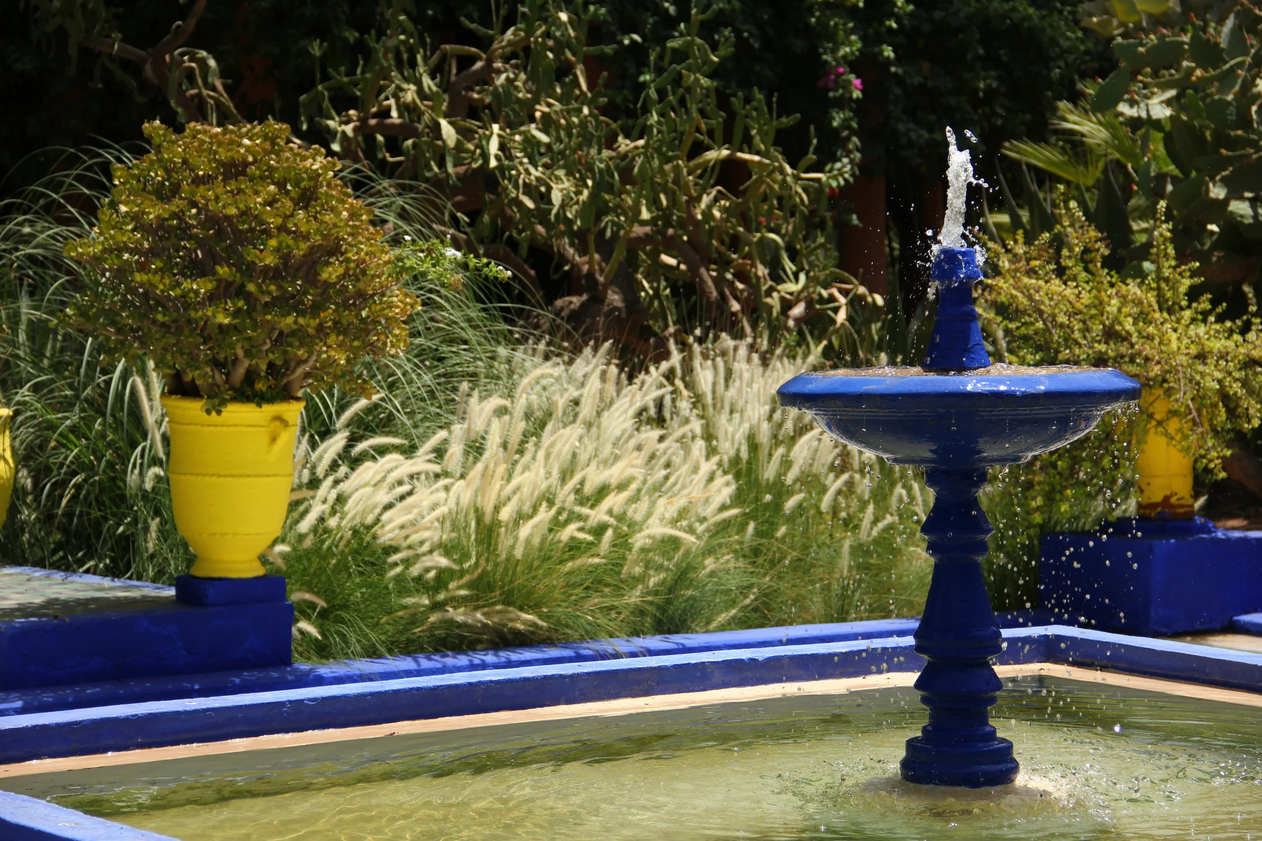 Jardin Majorelle - Marrakech