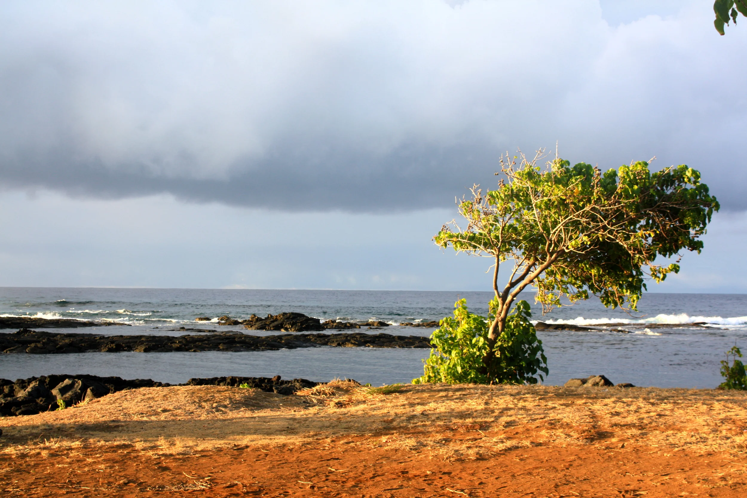 BIg island - hawaii