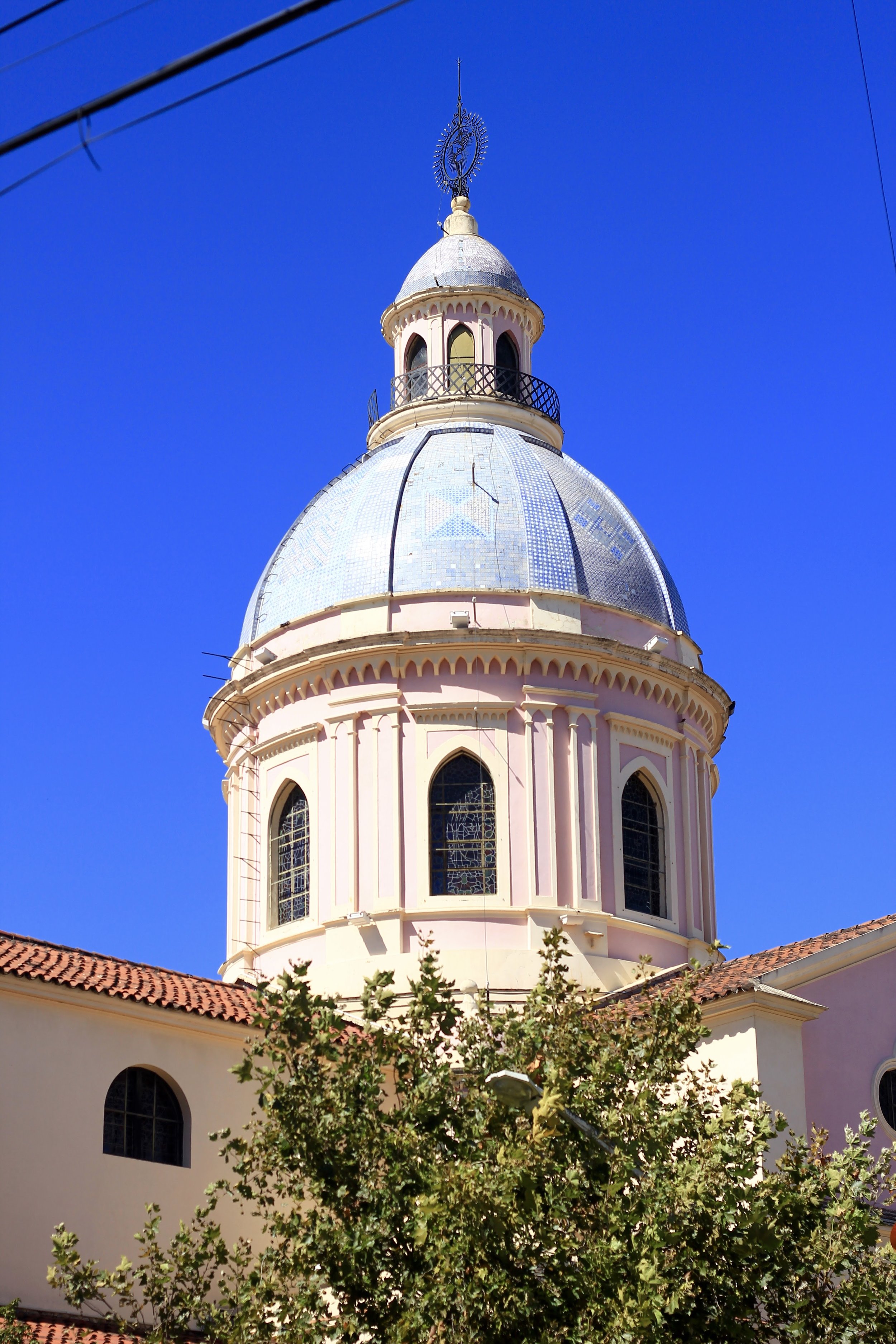 IMG_8972.jpg