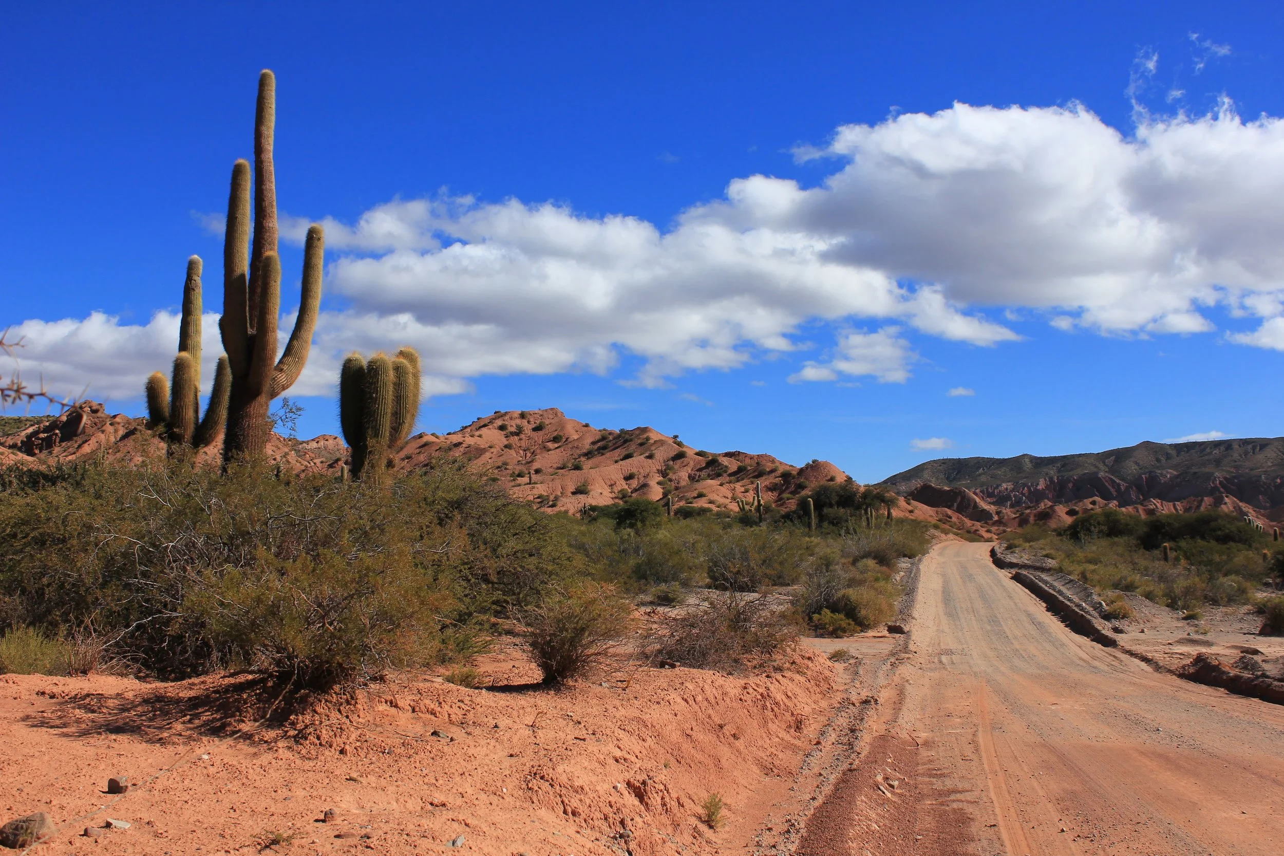 Cafayate - Salta in one day