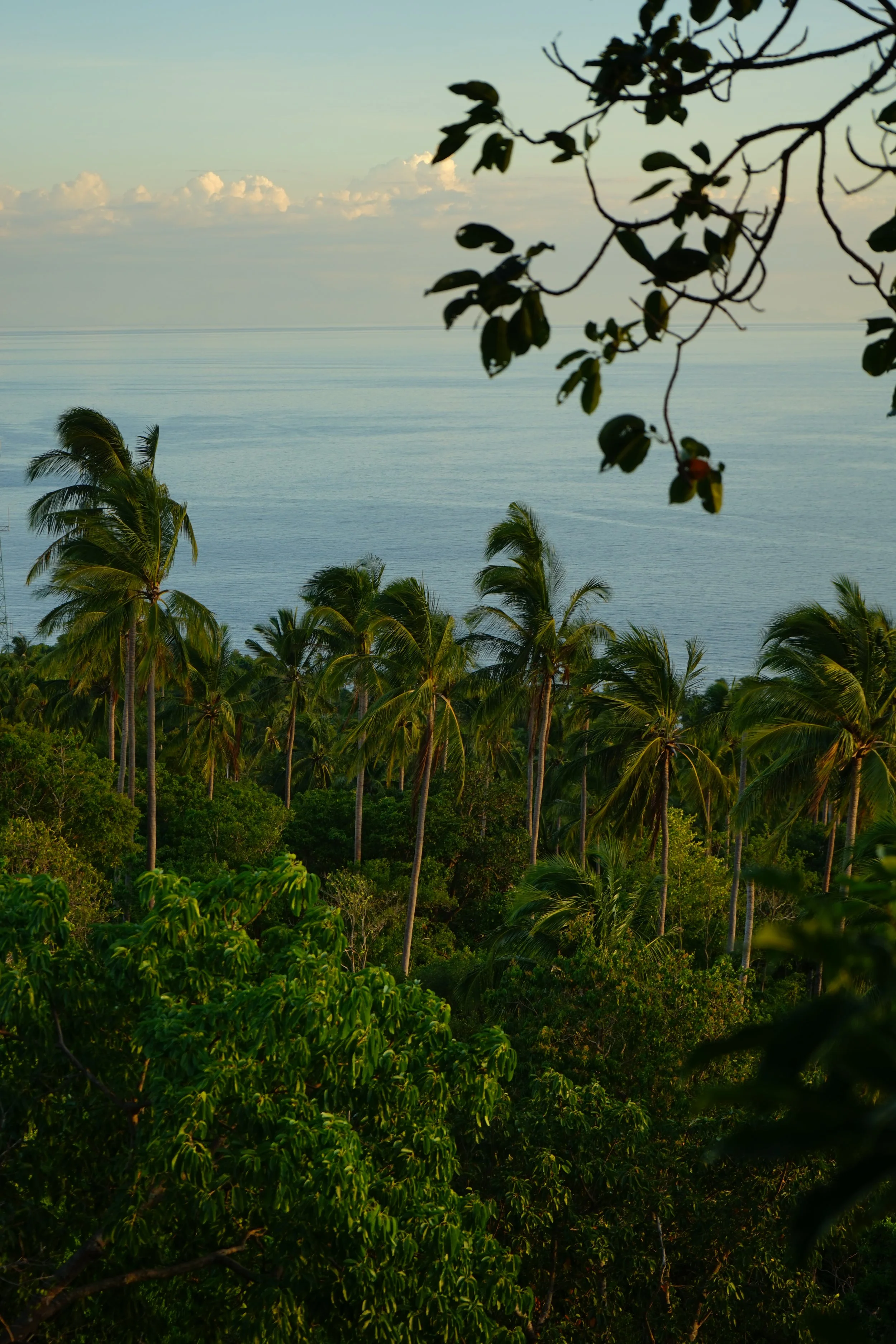 DSC01214.JPG