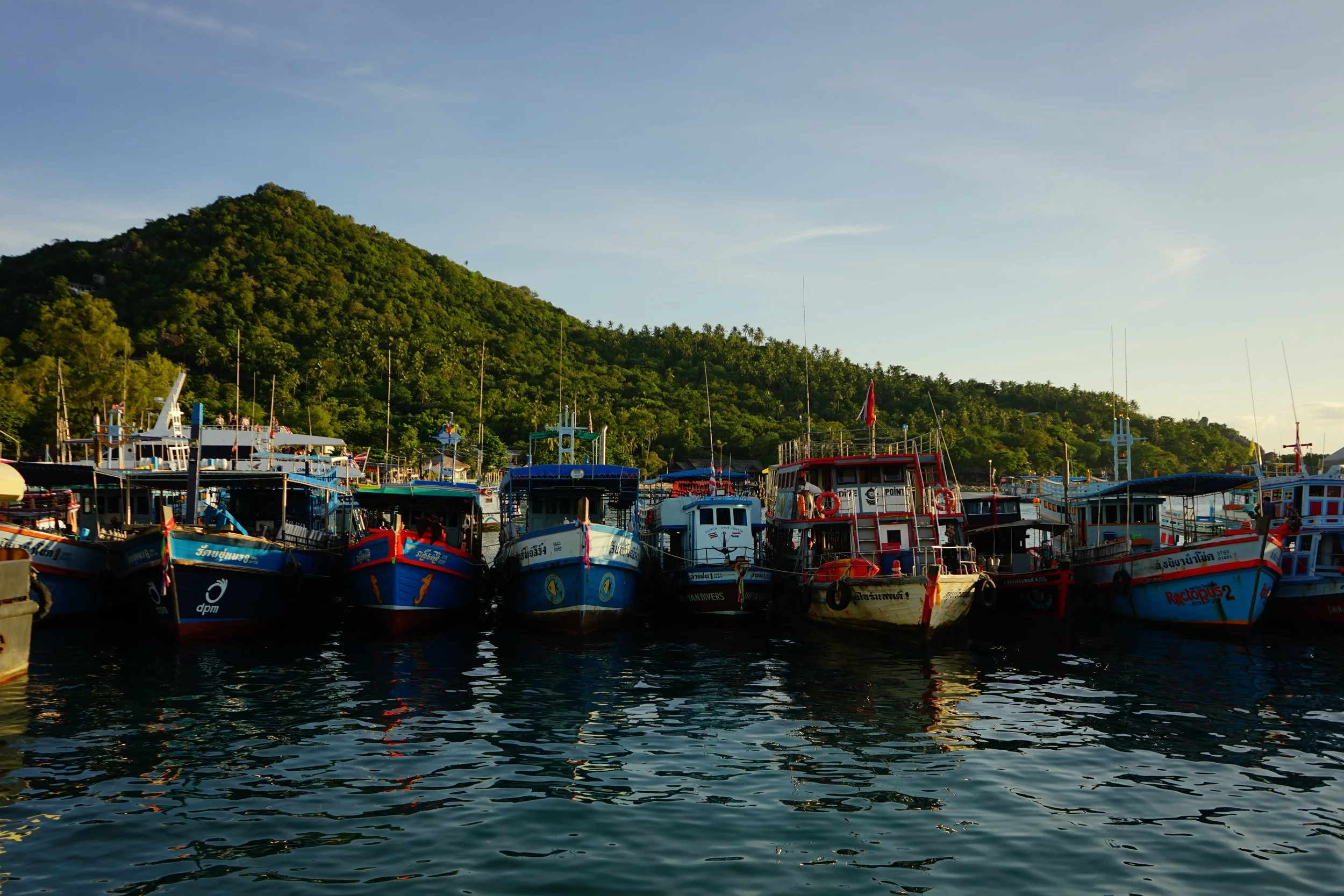 DSC01366.JPG