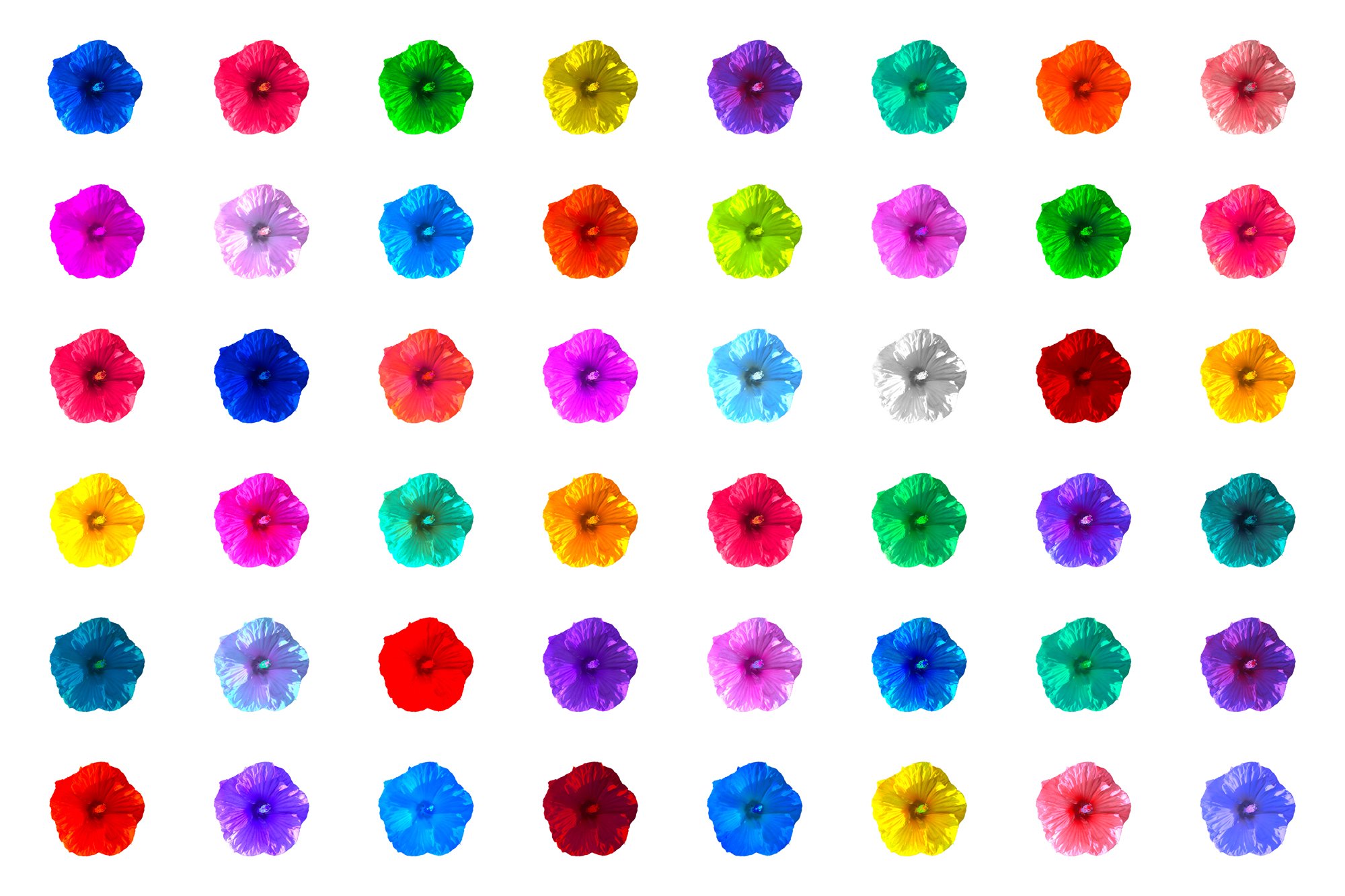 Hibiscus_DOTS.jpg