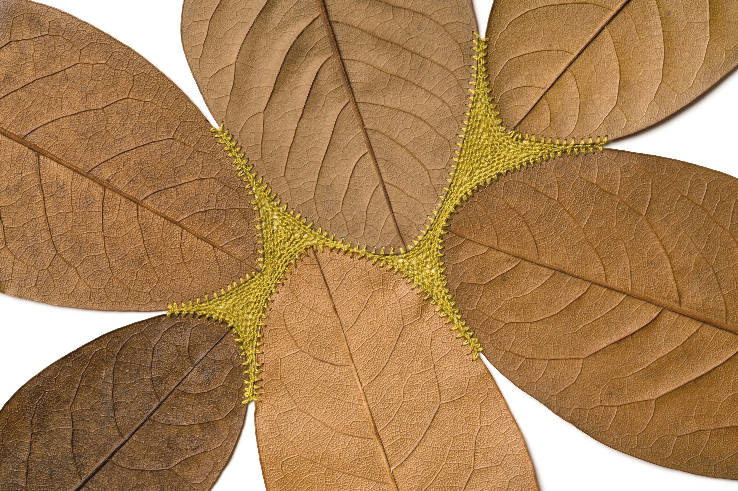  Common Ground lll (detail) 