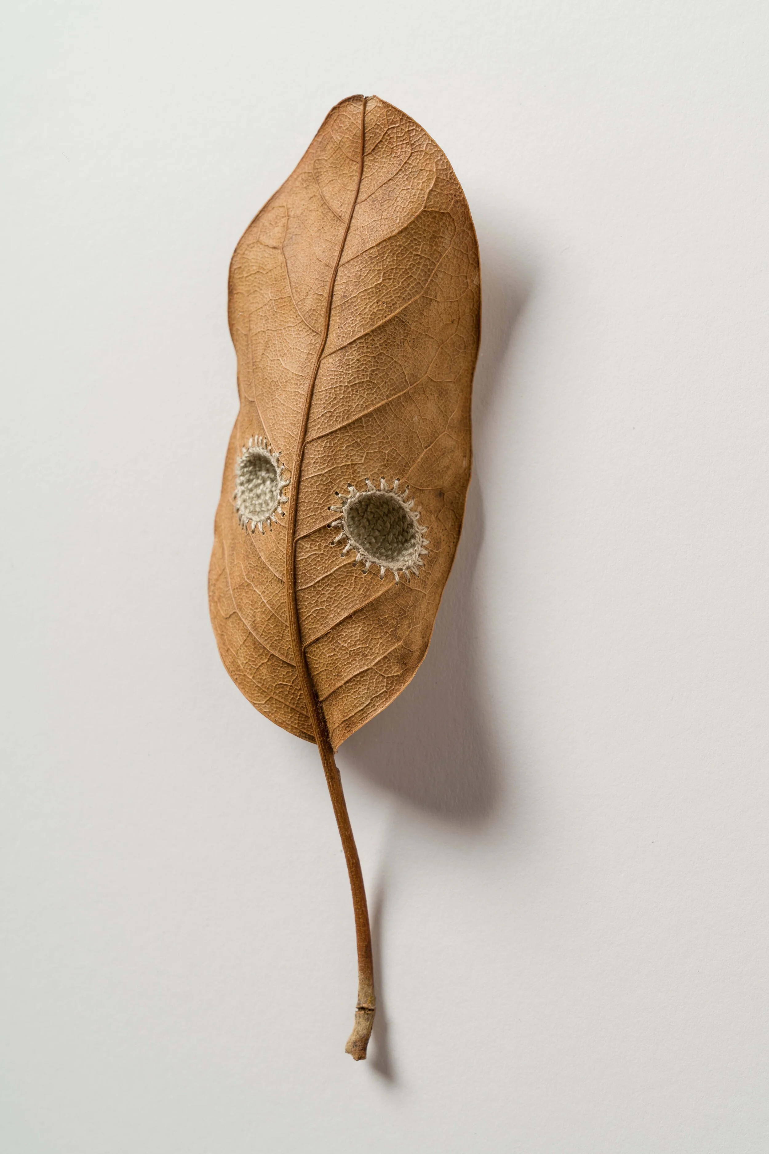  Collection Triptych ll (detail) 