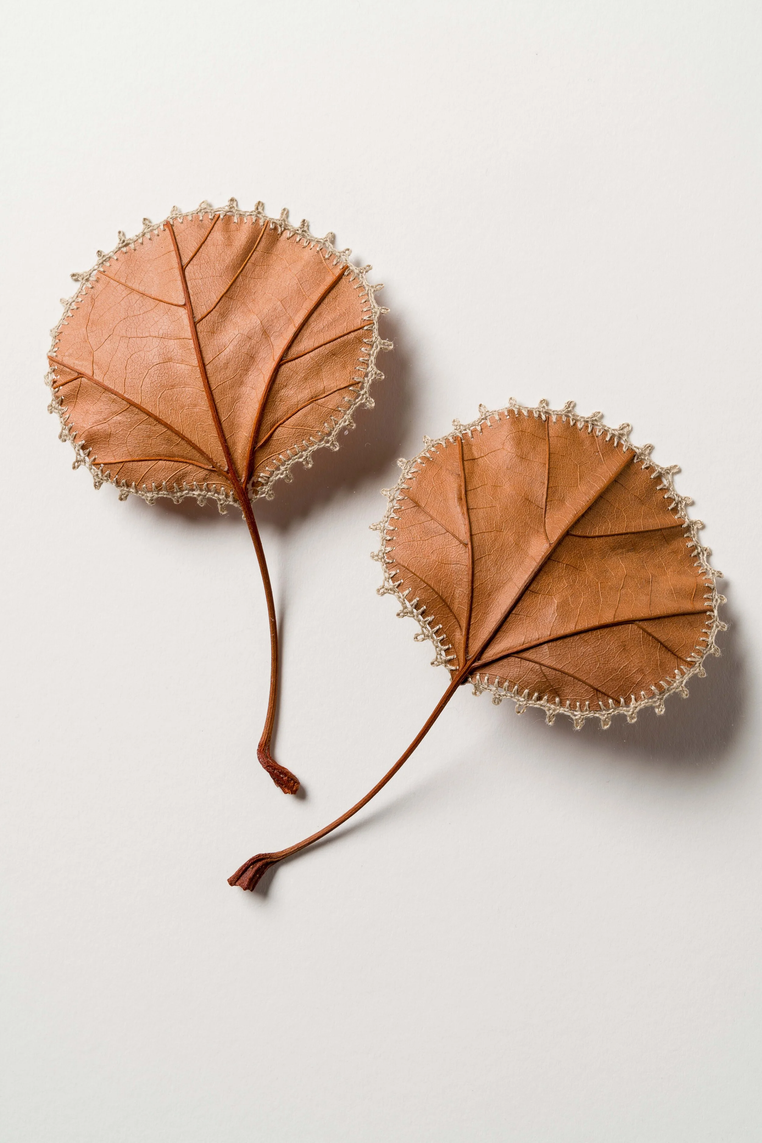  Collection Triptych lll (detail) 