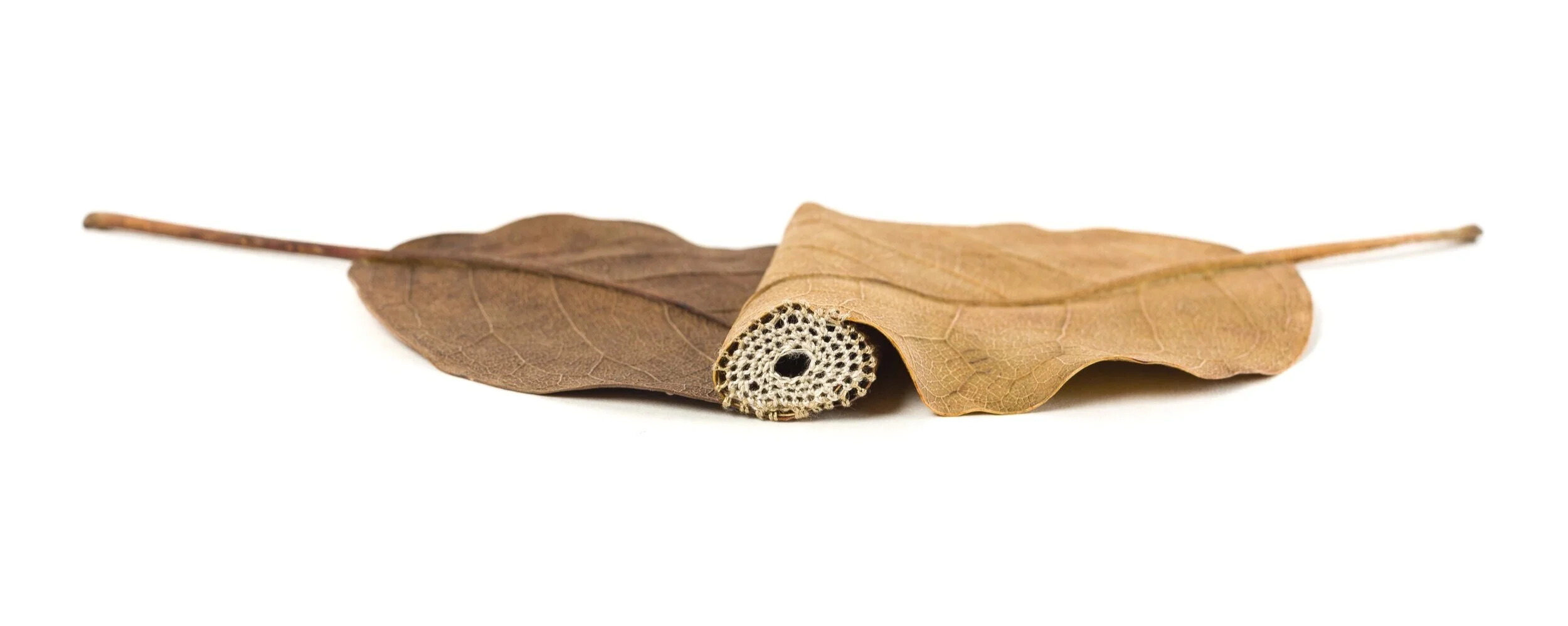  Encounter (side view) 