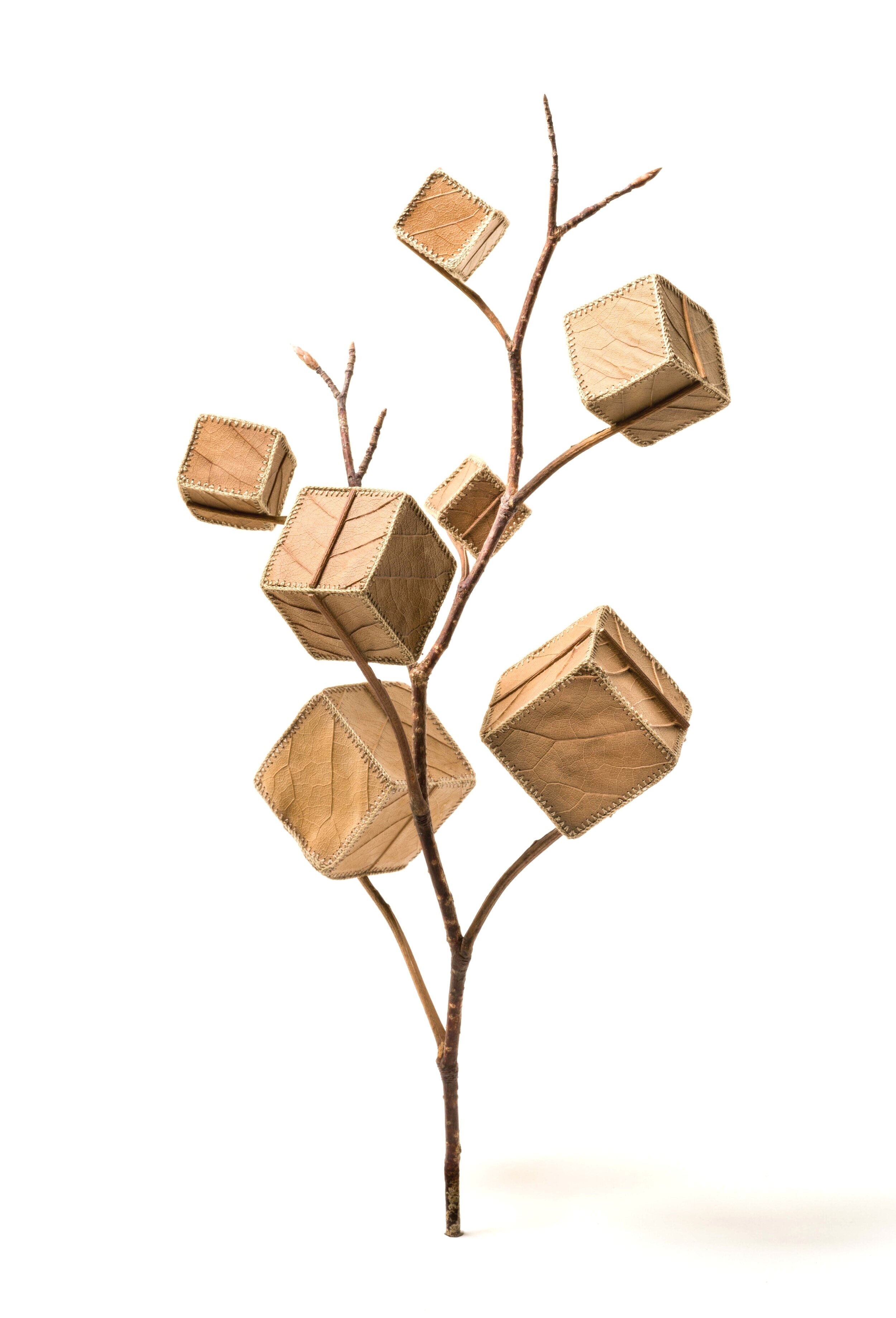 Cube Tree No.7