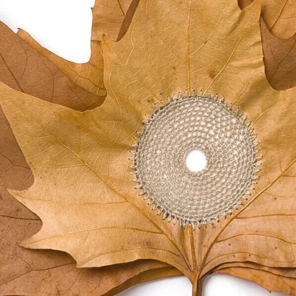  For What Binds Us (detail) 