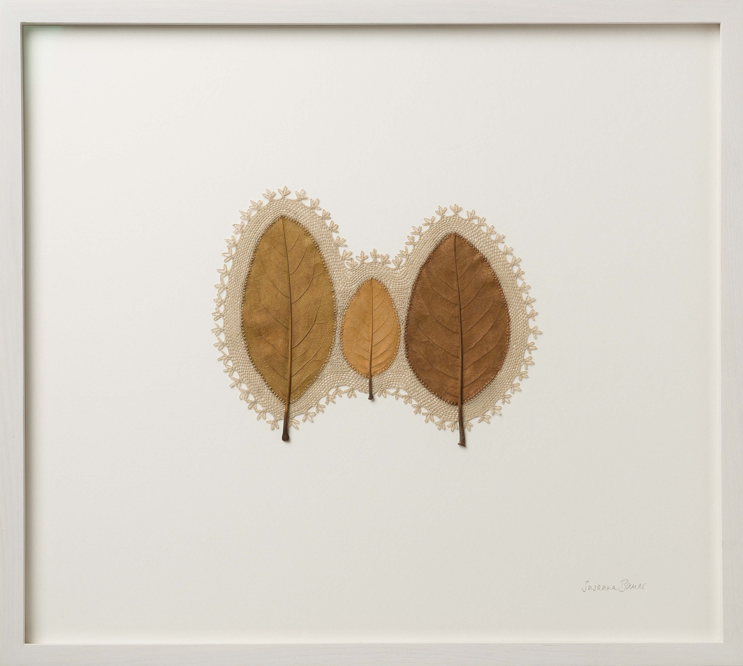 Susanna Bauer - Haven, 2022, magnolia leaves, cotton thread, 42 H x 47 W (framed),(photo_www.art-photographers.co.uk)ST208671thumb.jpg