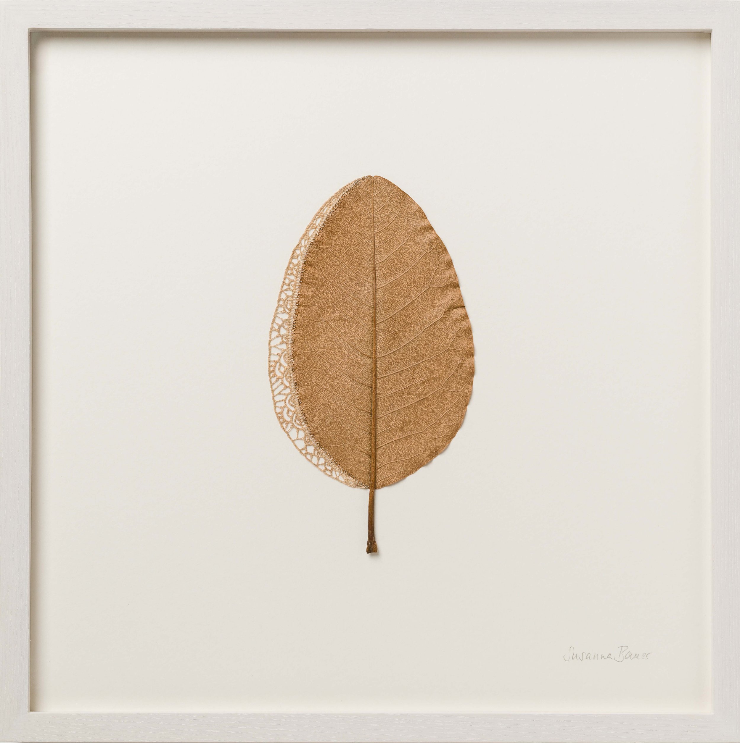 Susanna Bauer - Symmetry, 2022, magnolia leaf, cotton thread, 38 W x 38 H cm (framed), (photo_www.art-photographers.co.uk)ST208813thumb.jpg