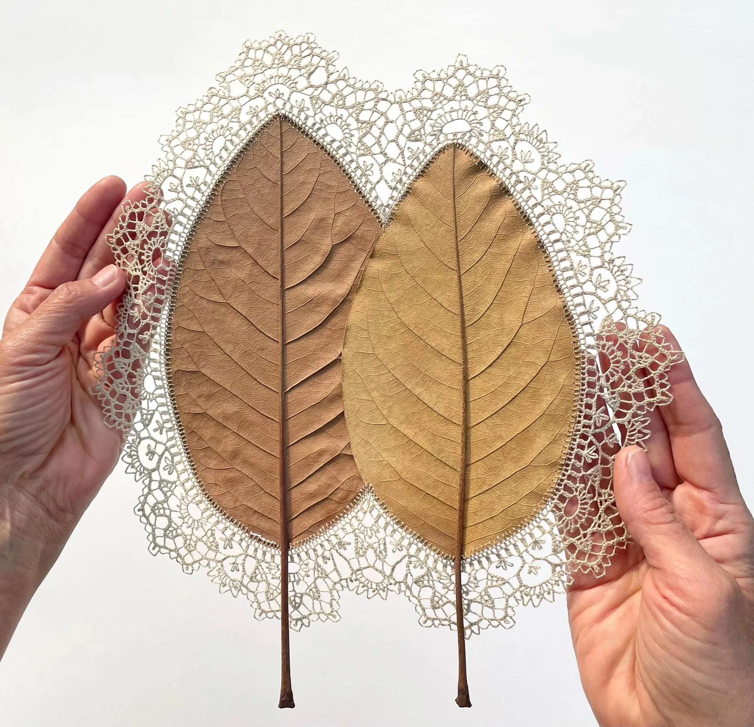 Susanna+Bauer+-+To+Have+and+to+Hold+%28hand-held+1%29%2C+2025%2C+magnolia+leaves%2C+cotton+thread%2C56+H+x+52+W+cm+%28framed%29%2C+%28photo_Susanna+Bauer%29.jpg