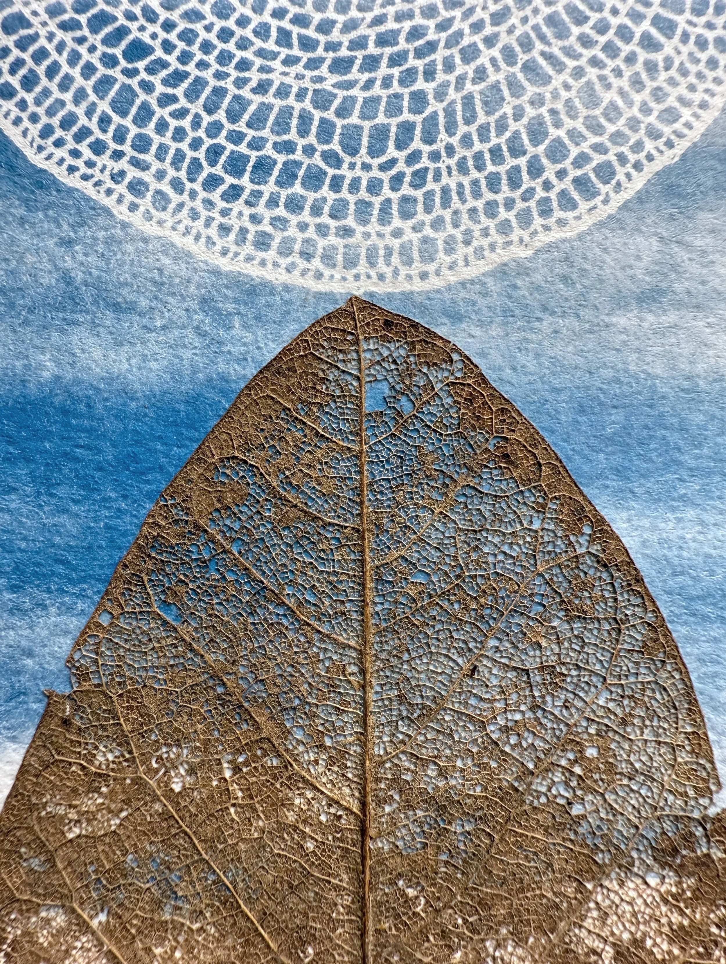 Susanna Bauer - Earth and Light IV (detail), 2025, cyanotype print, magnolia leaf, 20.3 x 11.4 cm (photo_Susanna Bauer).jpg