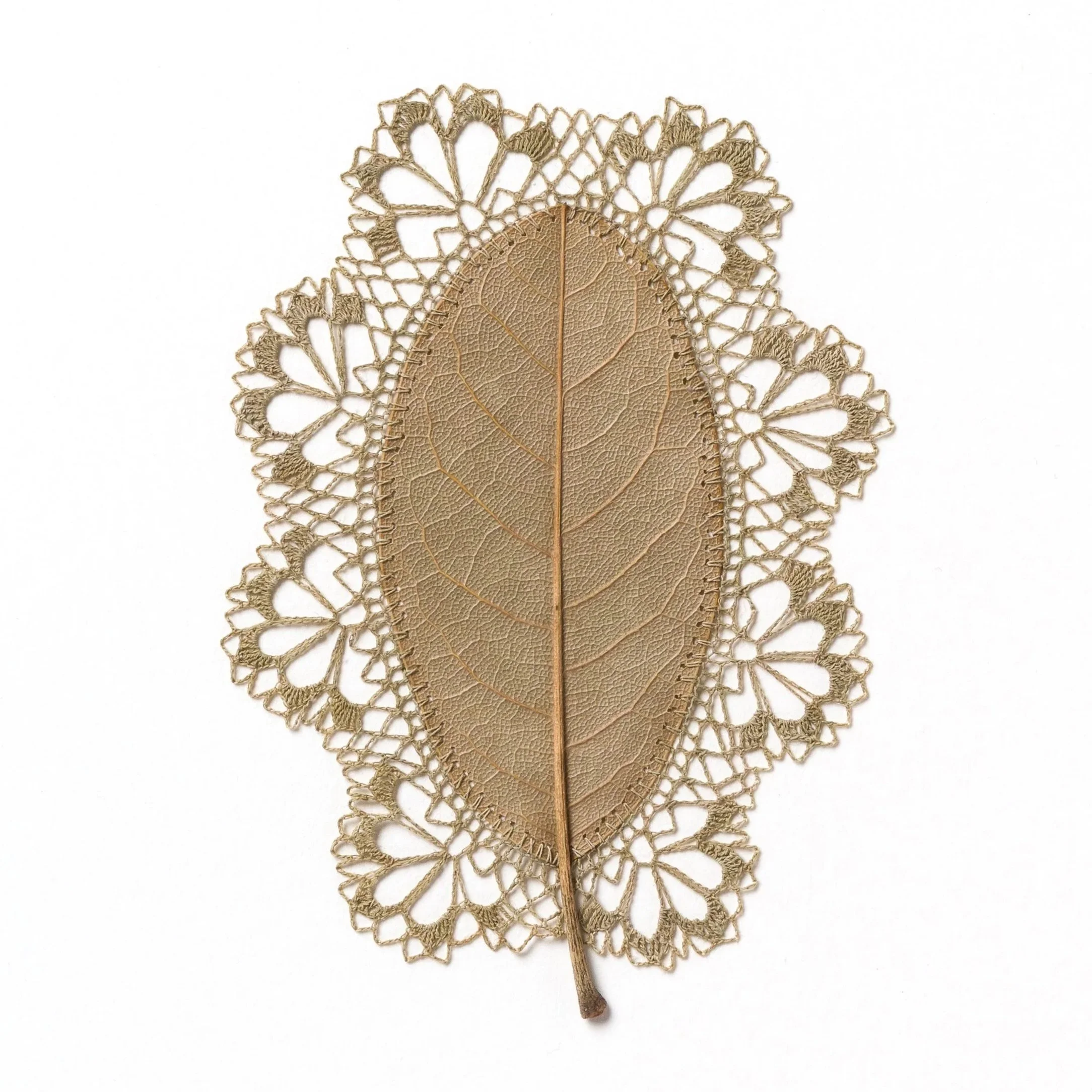 Susanna+Bauer+-+Blessings+%28without+frame%29%2C+2025%2C+magnolia+leaf%2C+cotton+thread%2C+30H+x+30W+cm+%28framed%29%2C+%28photo_Steve+Tanner%29ST209145.jpg