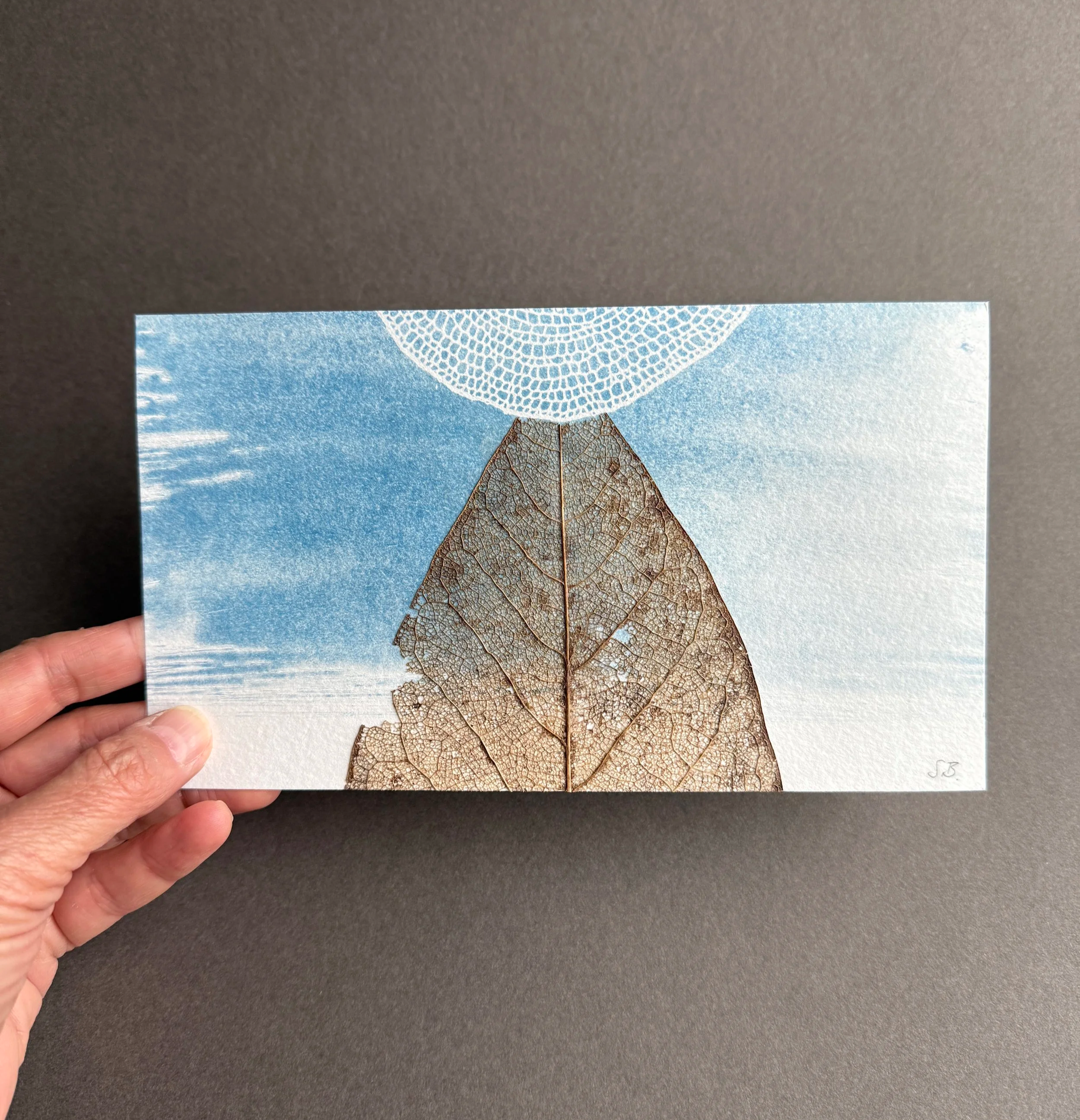 Susanna+Bauer+-+Earth+and+Light+I%2C+2025%2C+cyanotype+print%2C+magnolia+leaf%2C+20+x+11.5+cm+%28photo_Susanna+Bauer%29hand+held.png