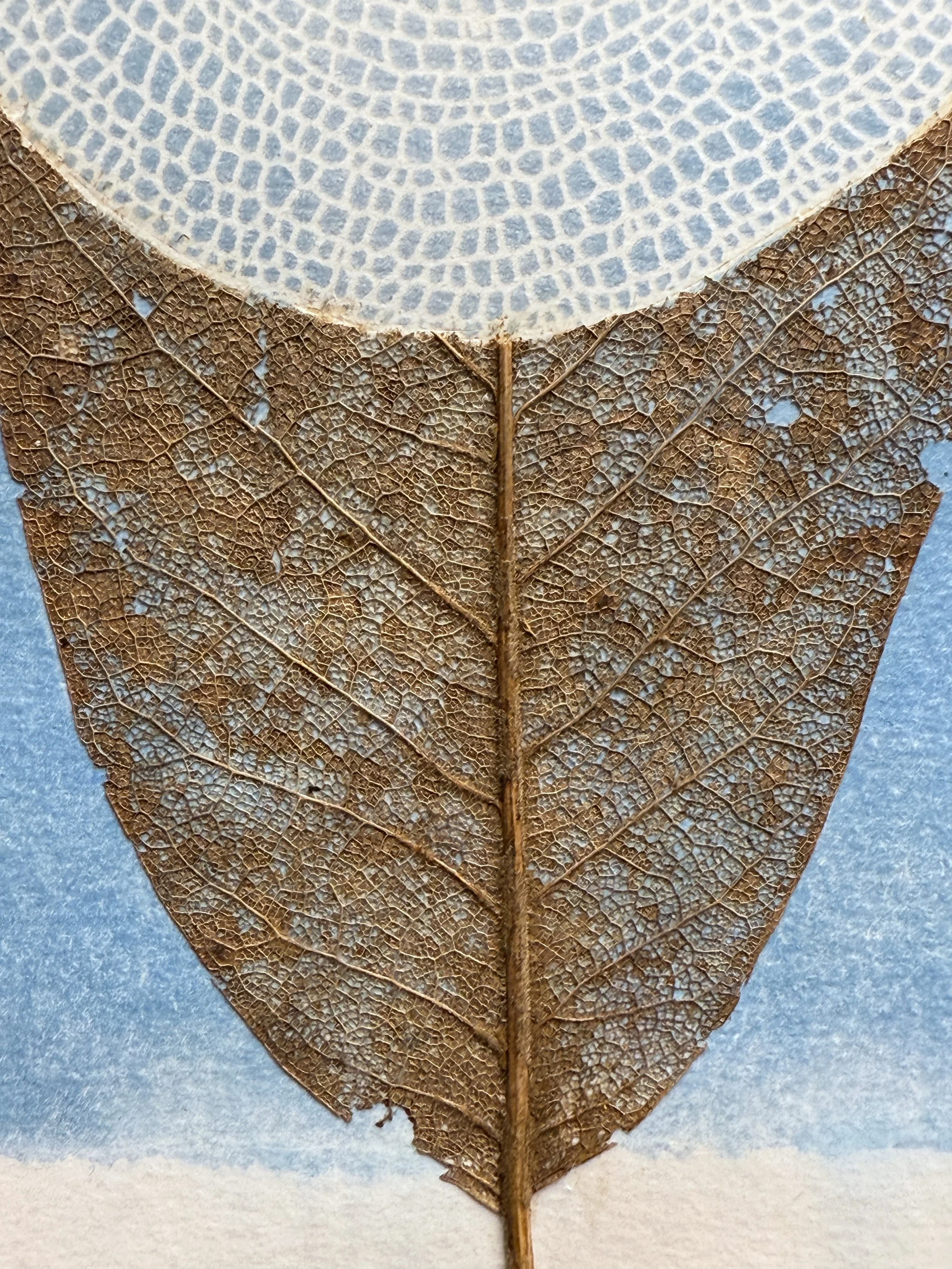 Susanna Bauer - Earth and Light V (detail), 2025, cyanotype print, magnolia leaf, 20.3 x 11.7 cm (photo_Susanna Bauer).jpg