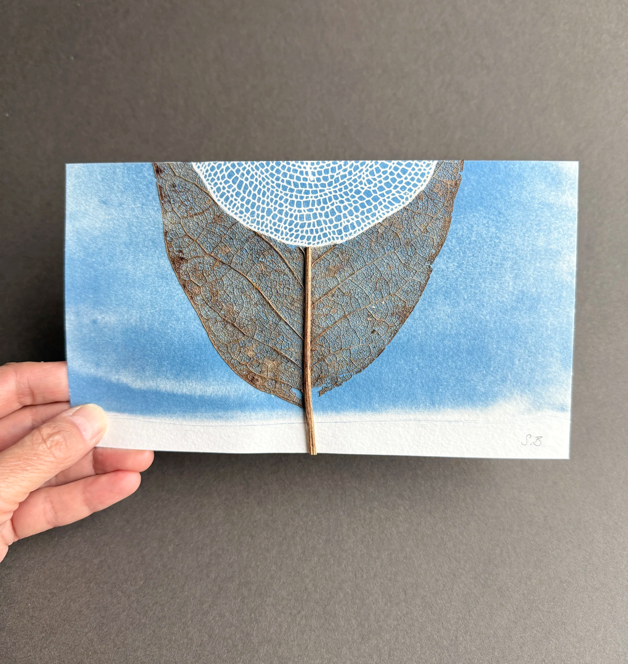 Susanna+Bauer+-+Earth+and+Light+III%2C+2025%2C+cyanotype+print%2C+magnolia+leaf%2C+20+x+11.5+cm+%28photo_Susanna+Bauer%29hand+held.png
