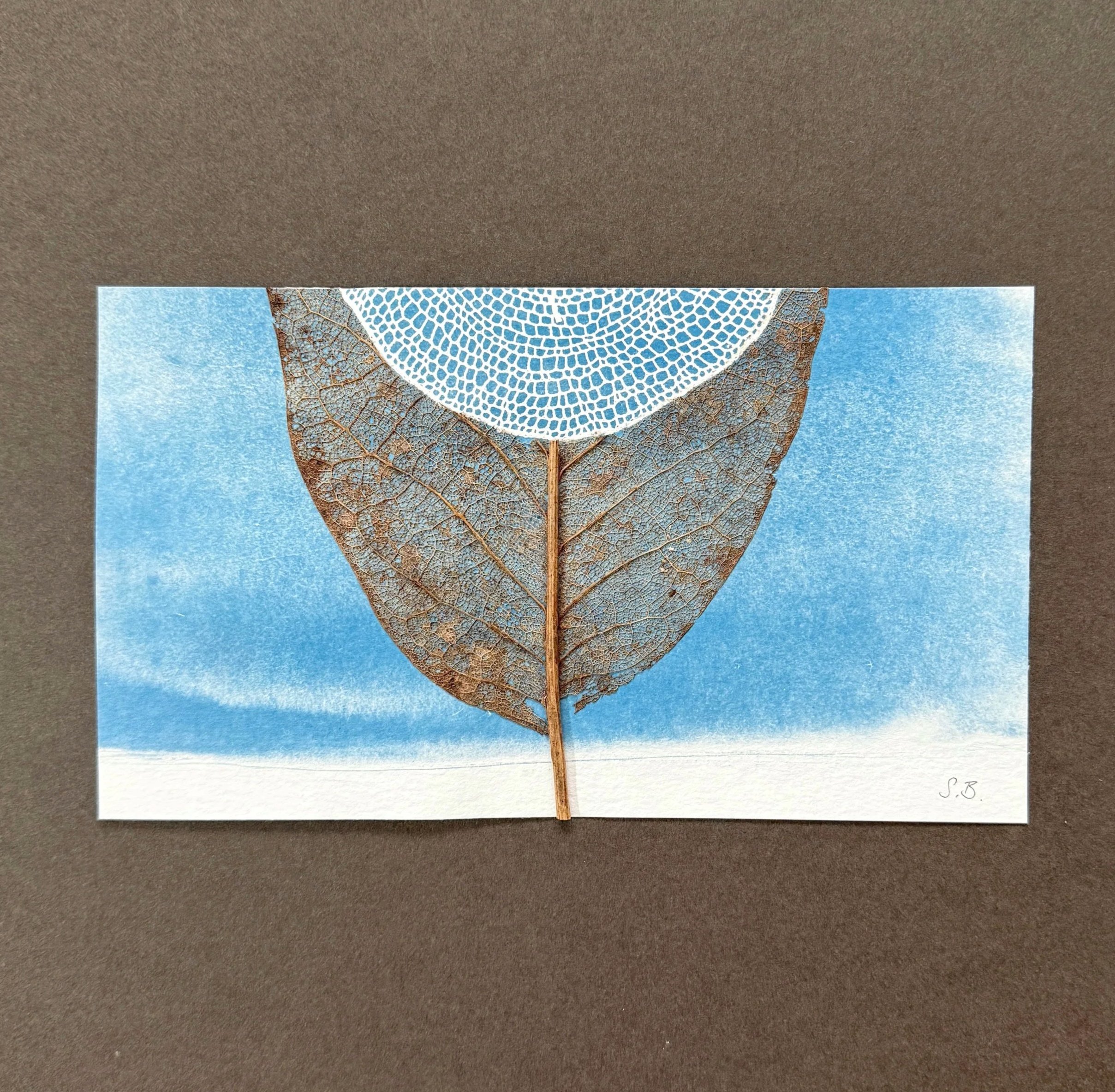 Susanna+Bauer+-+Earth+and+Light+III%2C+2025%2C+cyanotype+print%2C+magnolia+leaf%2C+20+x+11.5+cm+%28photo_Susanna+Bauer%29.jpg