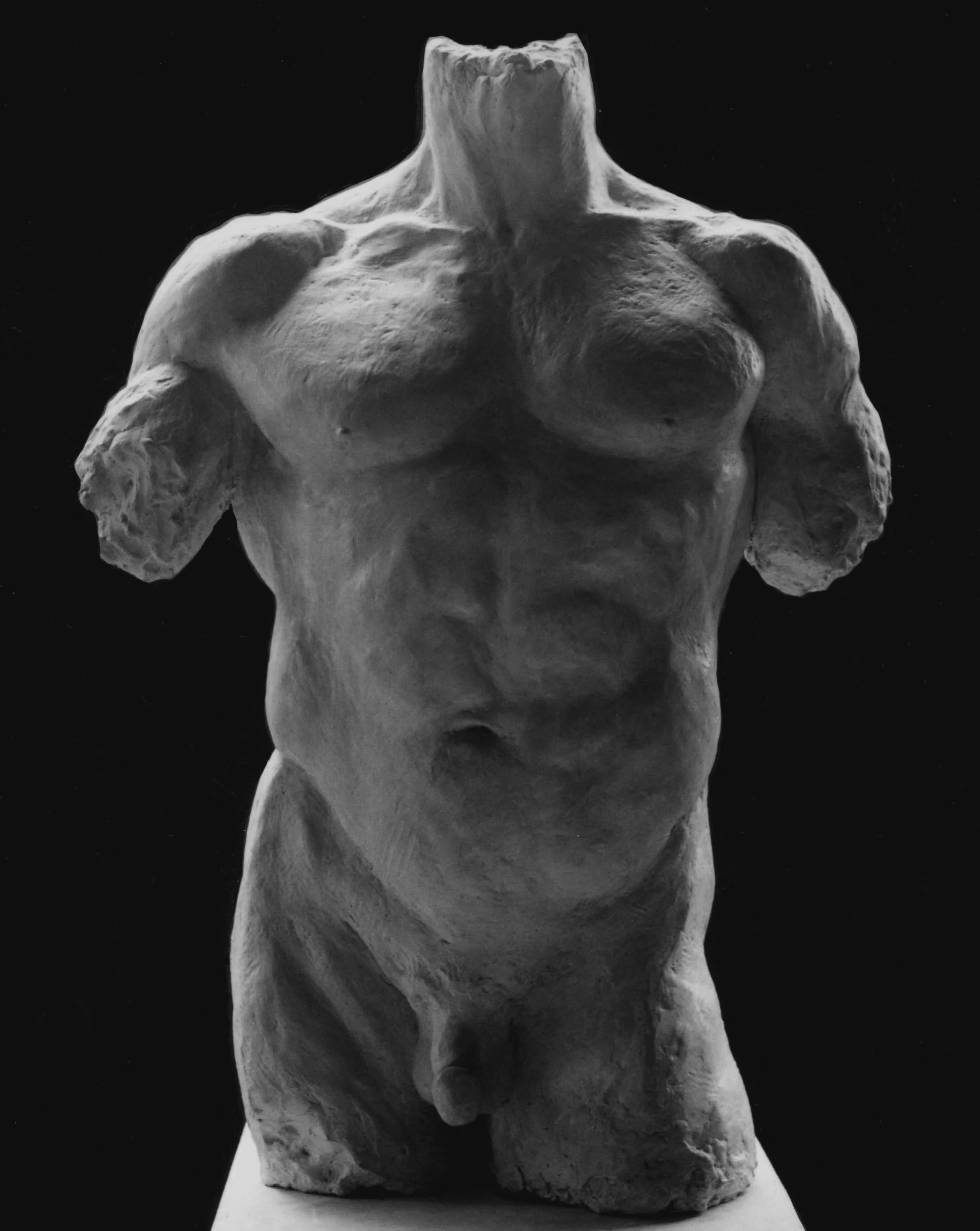 Male Torso