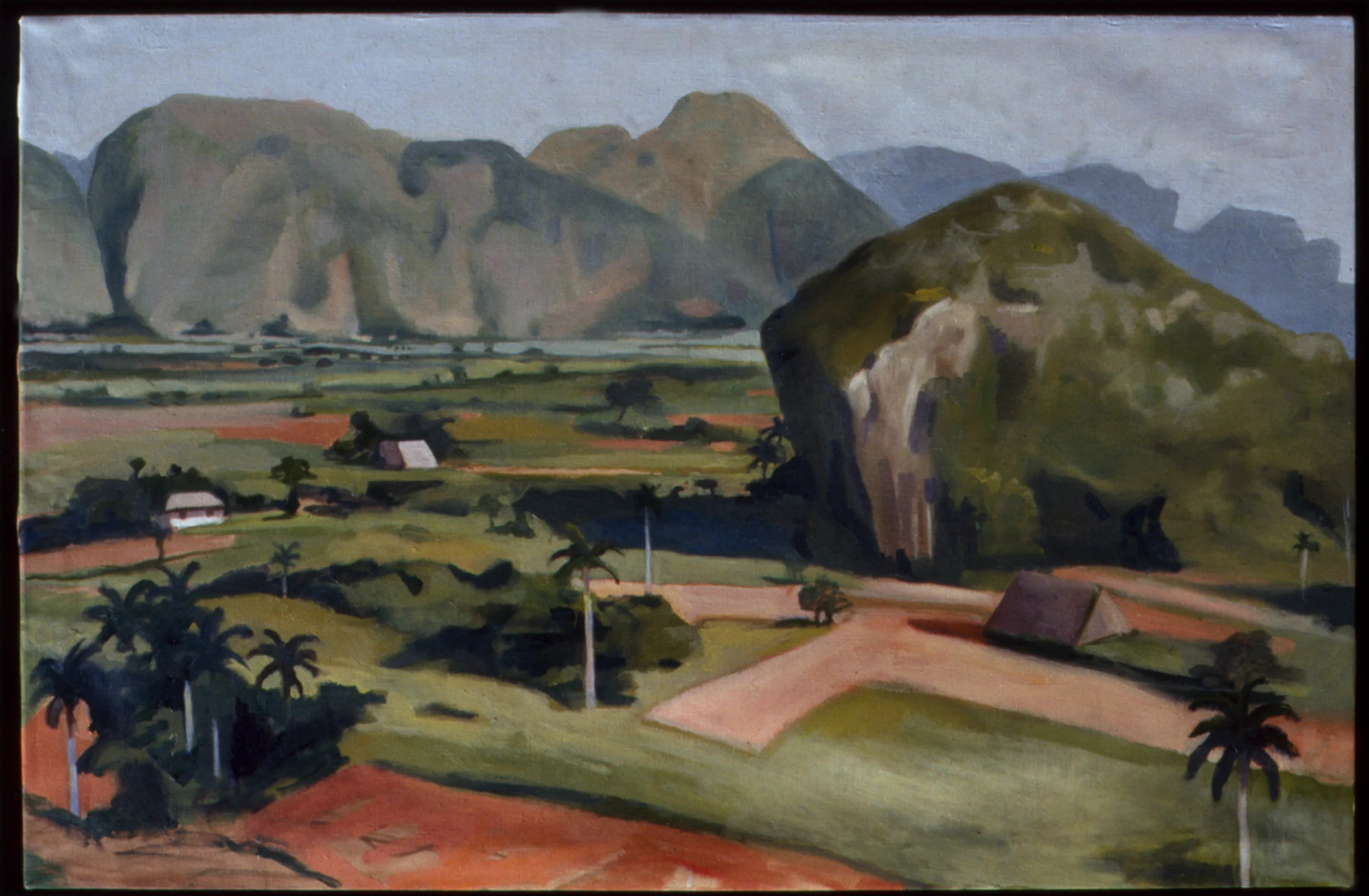 vinales.jpg