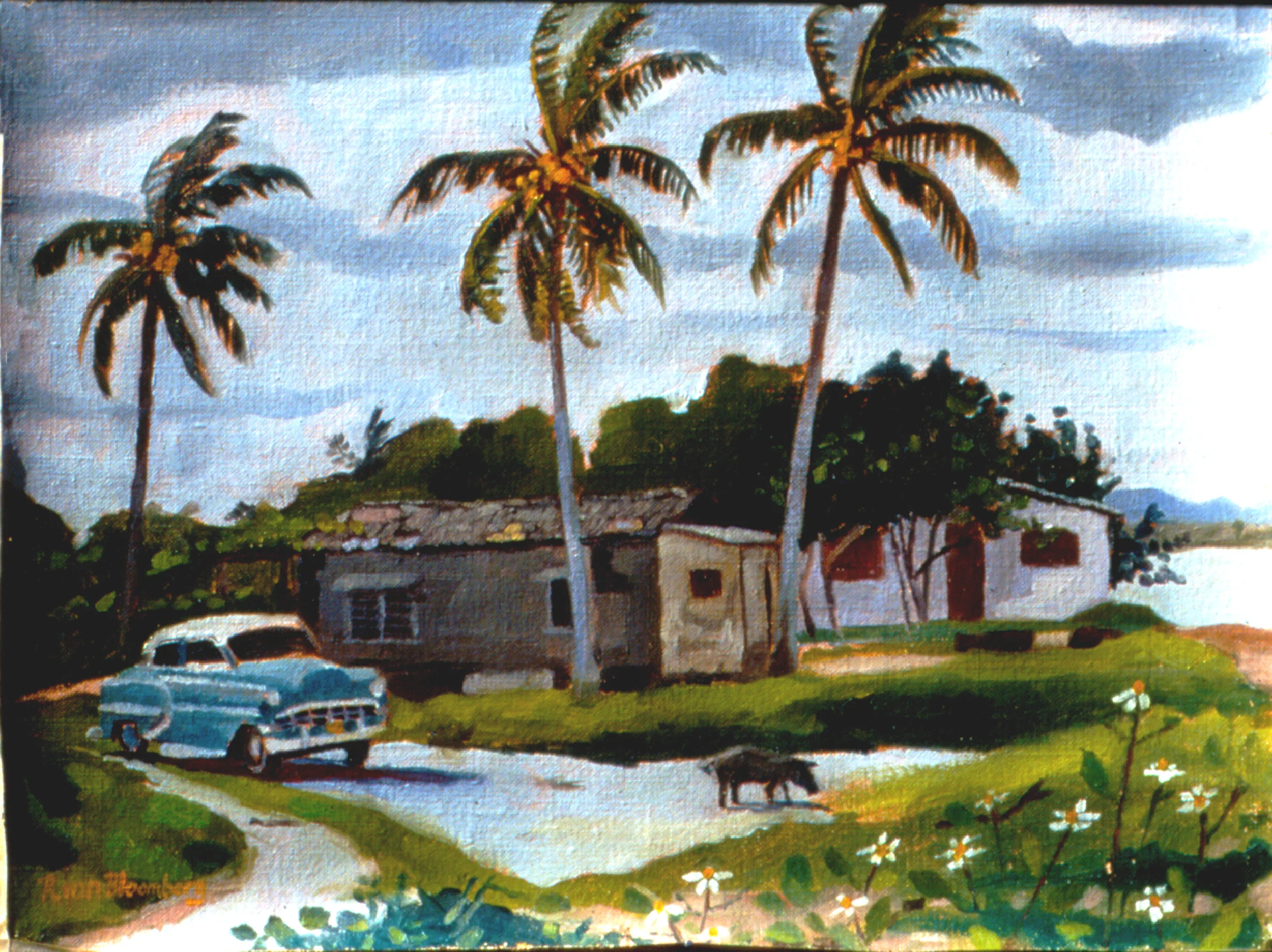 playa morrillo.jpg