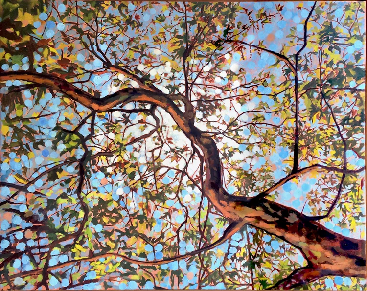 Branch & Penumbra