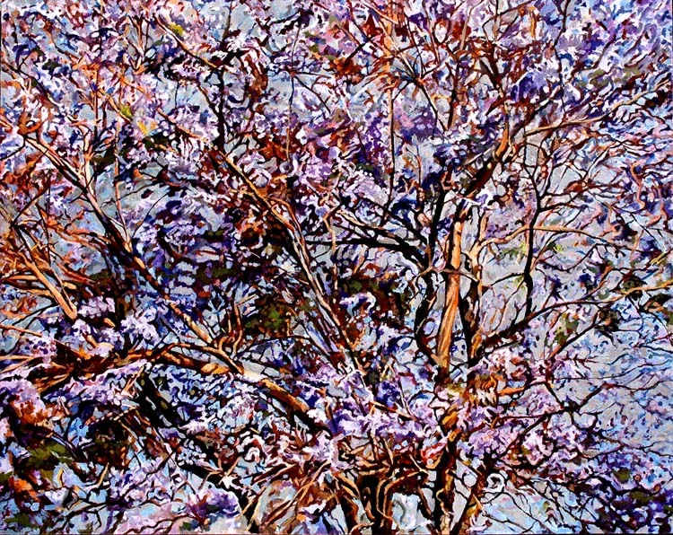 Jacaranda