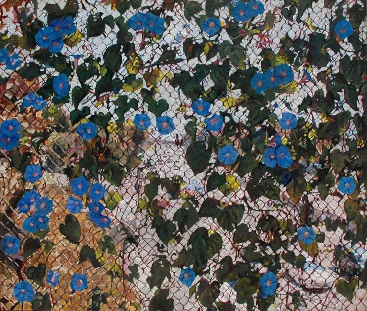 morningglories300.jpg