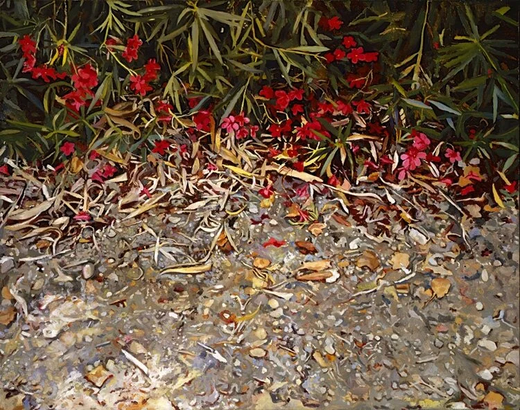 Oleanders