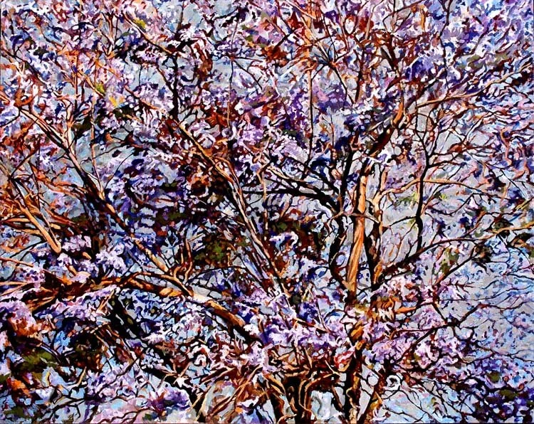 jacaranda.jpg