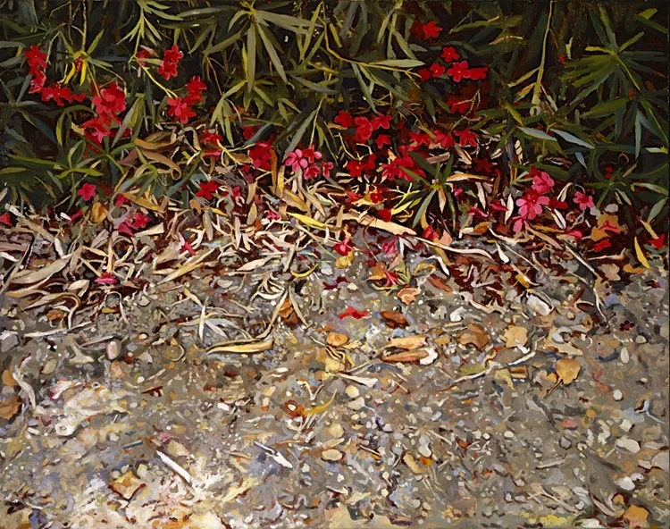Oleanders