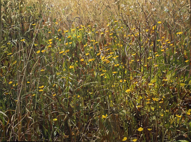 Eternal Spring II