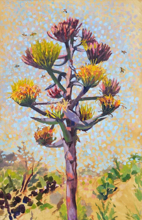 Shaws Agave web.jpg