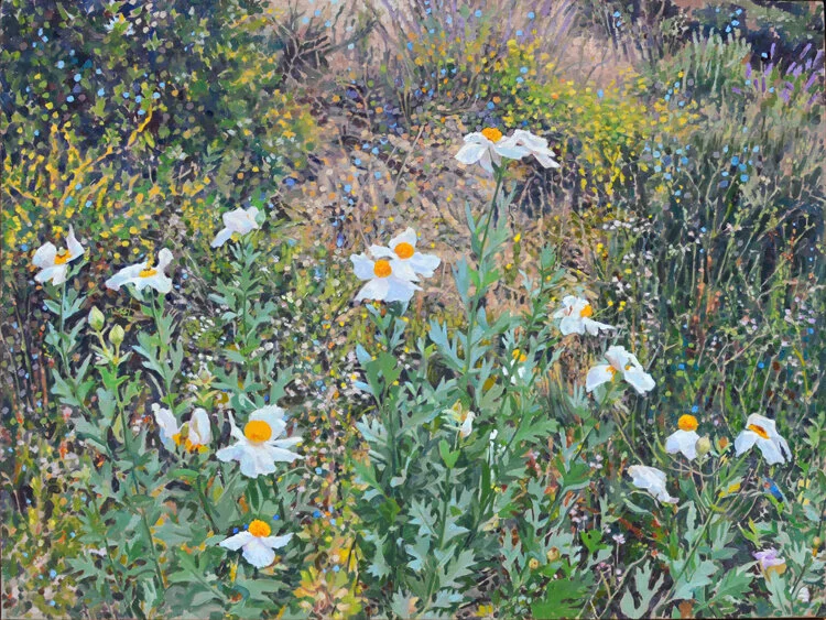 Matilija Poppies web.jpg