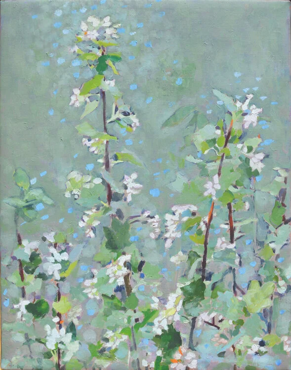 White-flowering Currant